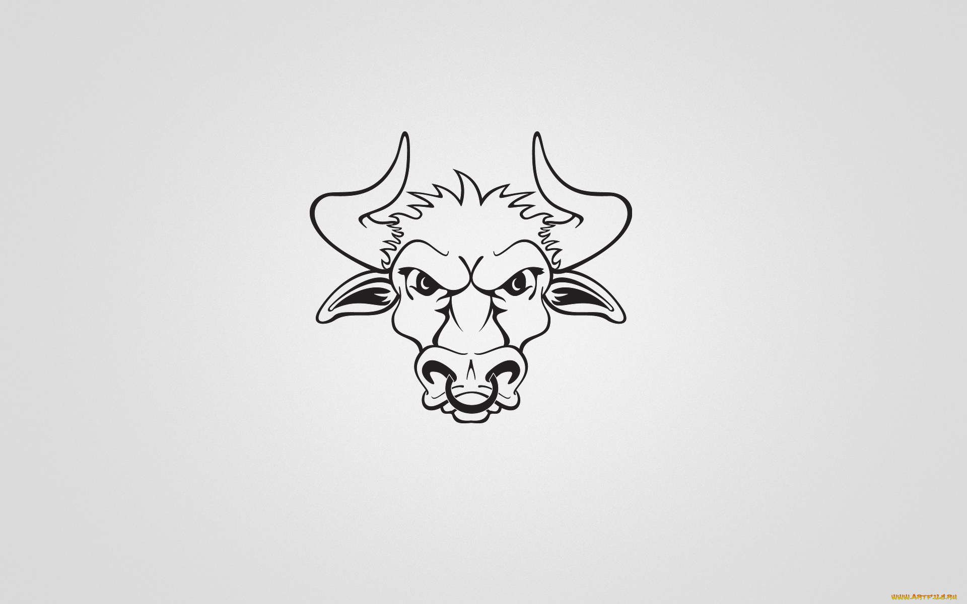 бык, рисованные, минимализм, bull, рога