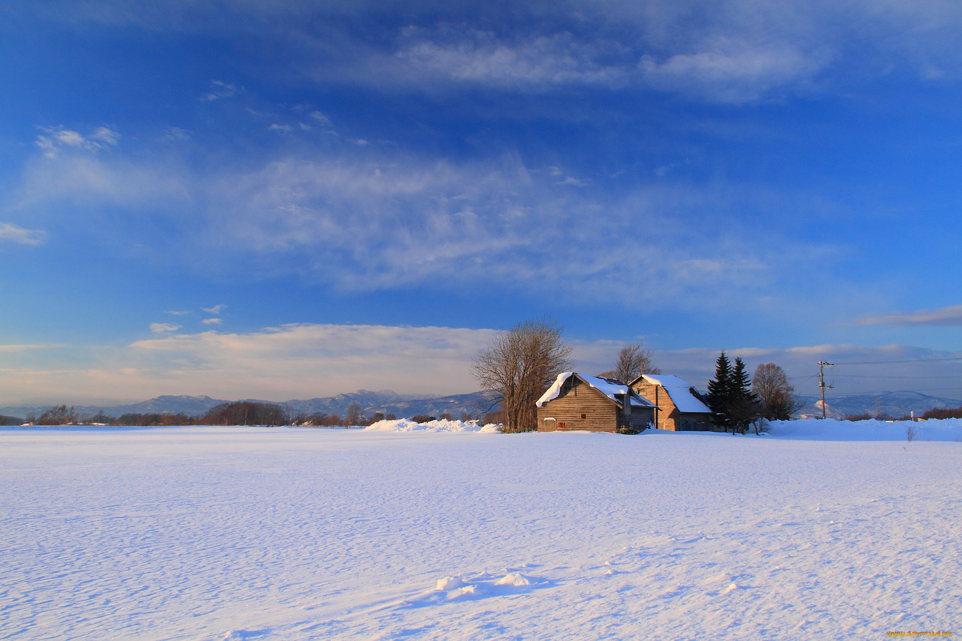природа, зима, дом, деревья, снег, поле