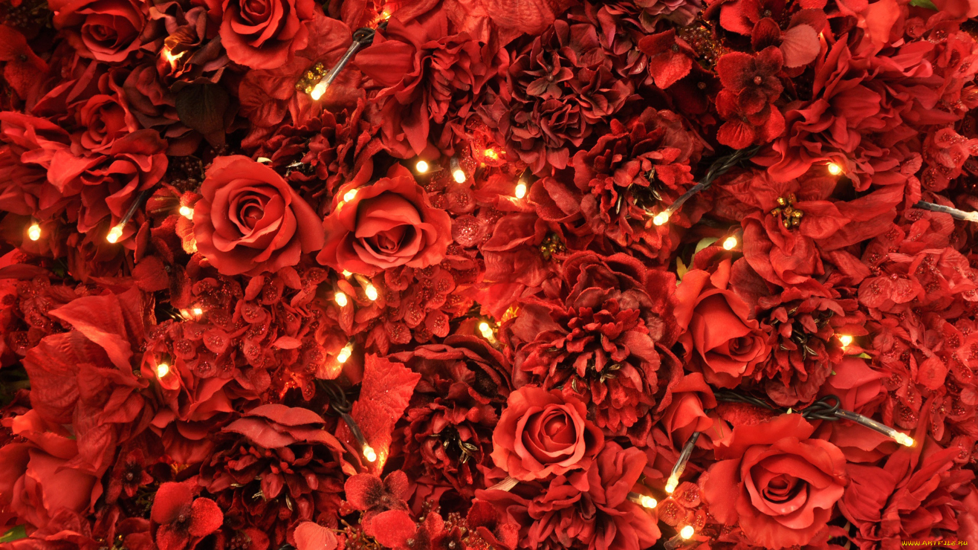 цветы, розы, красный, огоньки