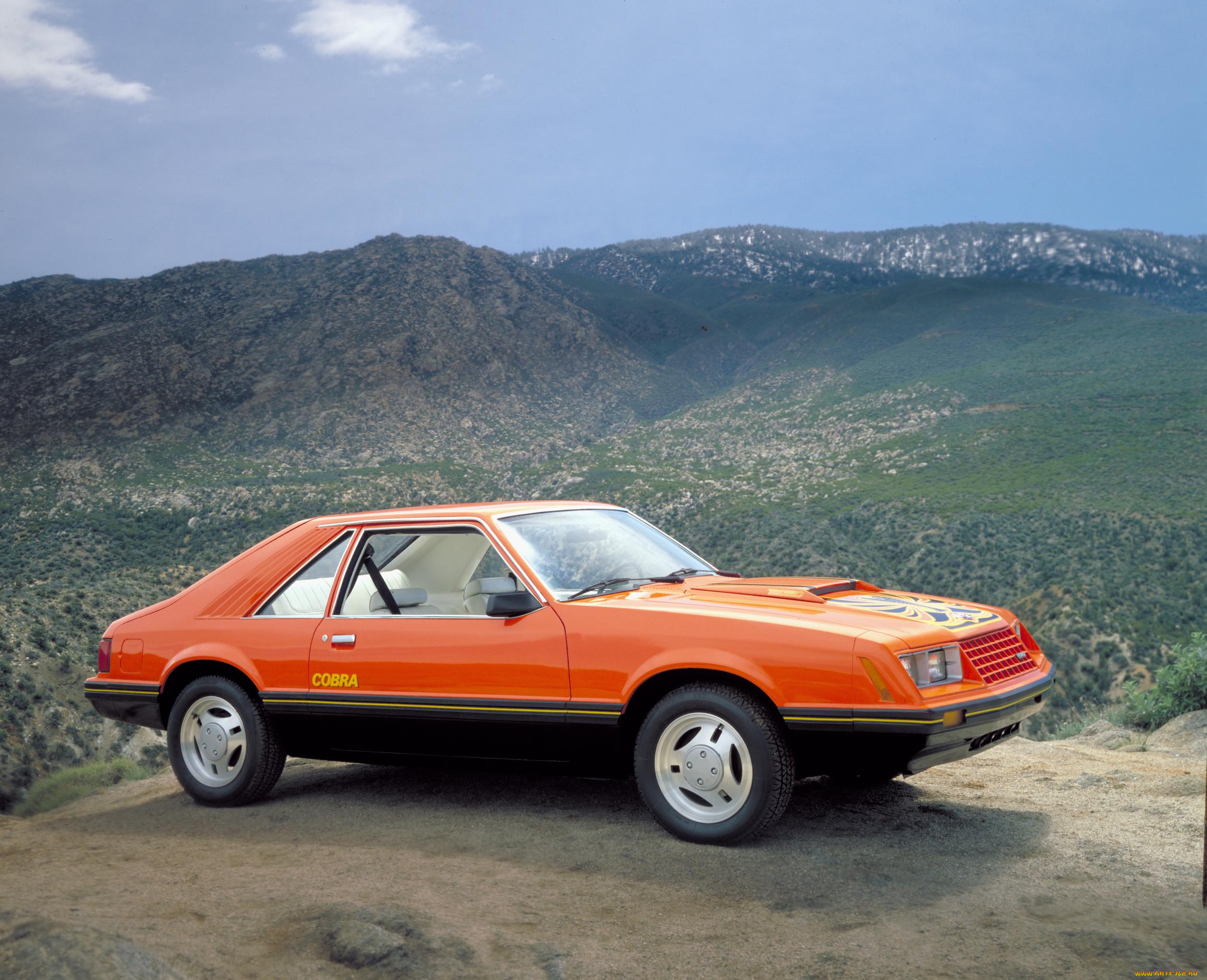 1979, ford, mustang, cobra, автомобили, mustang