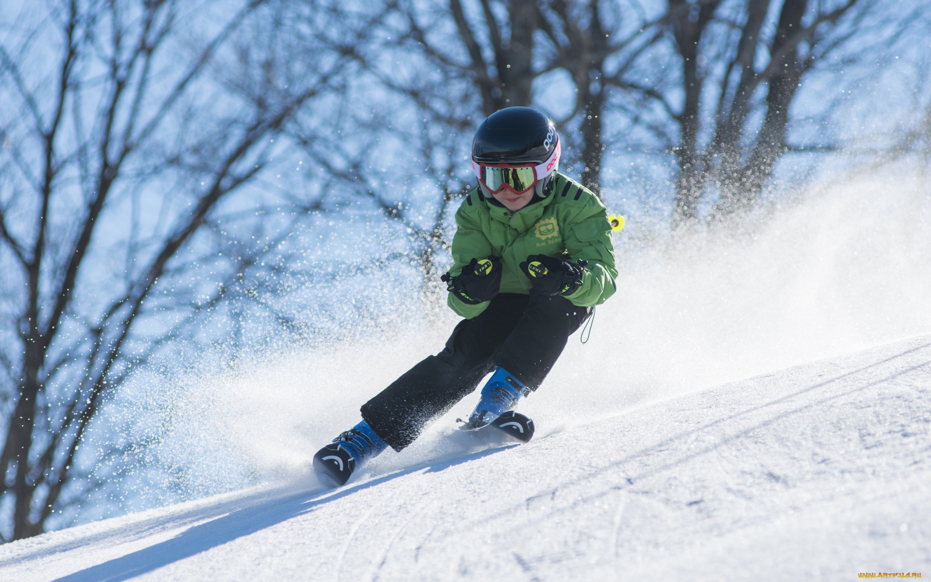 спорт, лыжный, спорт, лыжник, спуск, склон, снег, скорость