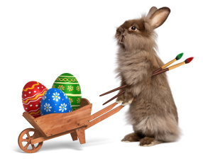 Картинка животные кролики +зайцы белый фон тачка яйца кролик