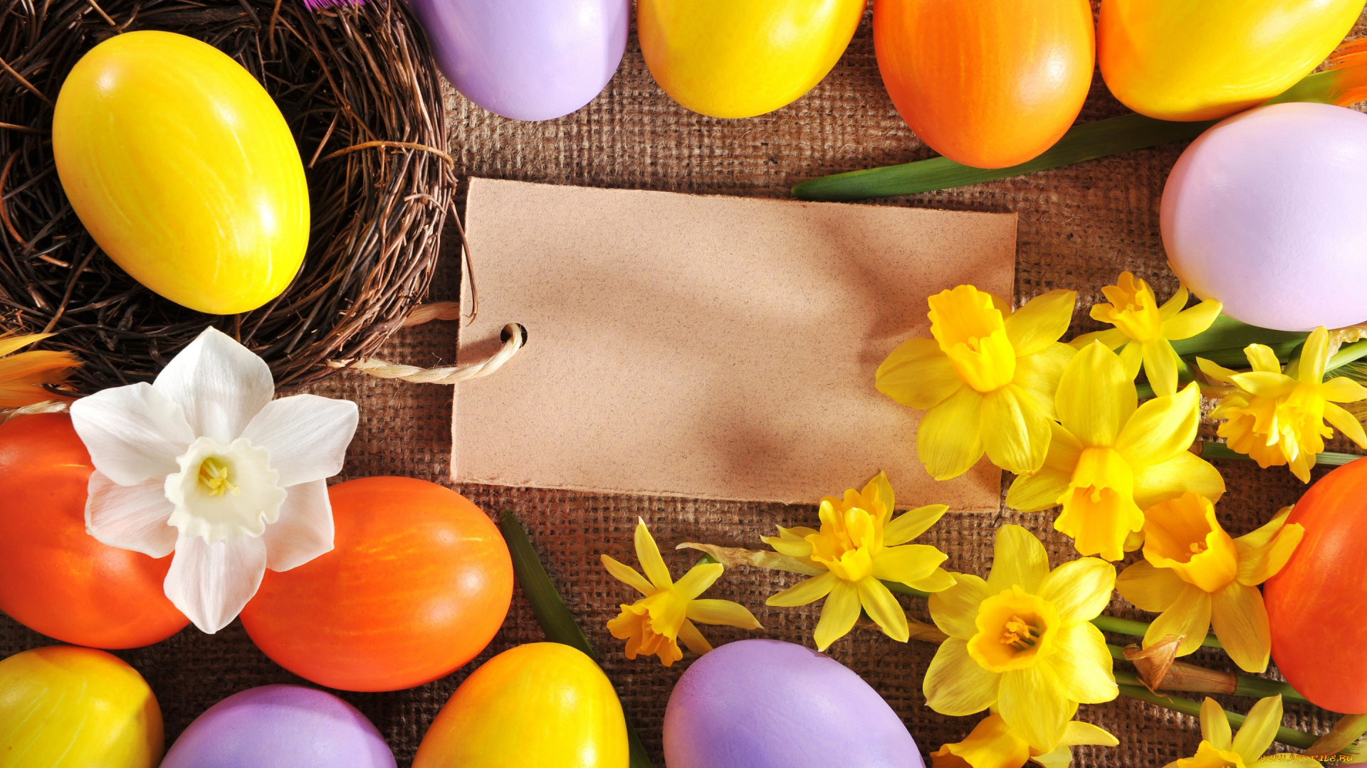 праздничные, пасха, цветы, нарциссы, яйца, spring, flowers, eggs, easter