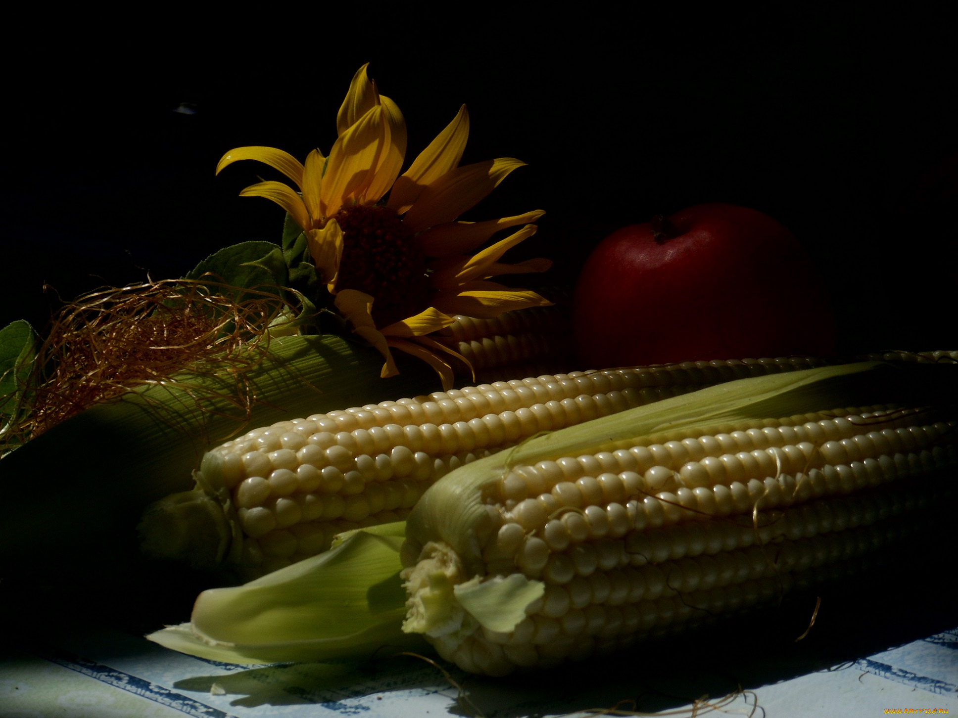 еда, кукуруза, подсолнух, цветок