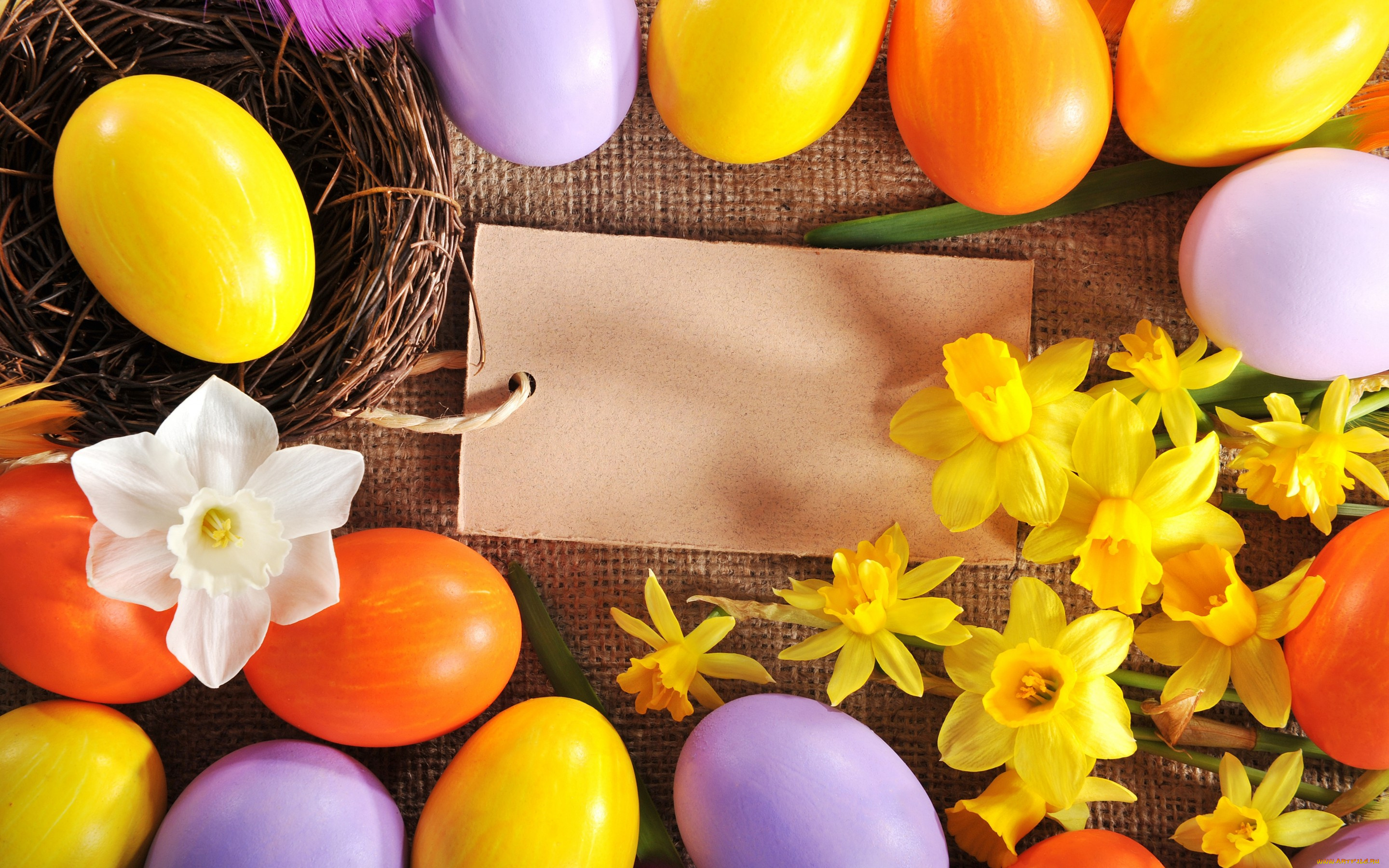 праздничные, пасха, цветы, нарциссы, яйца, spring, flowers, eggs, easter