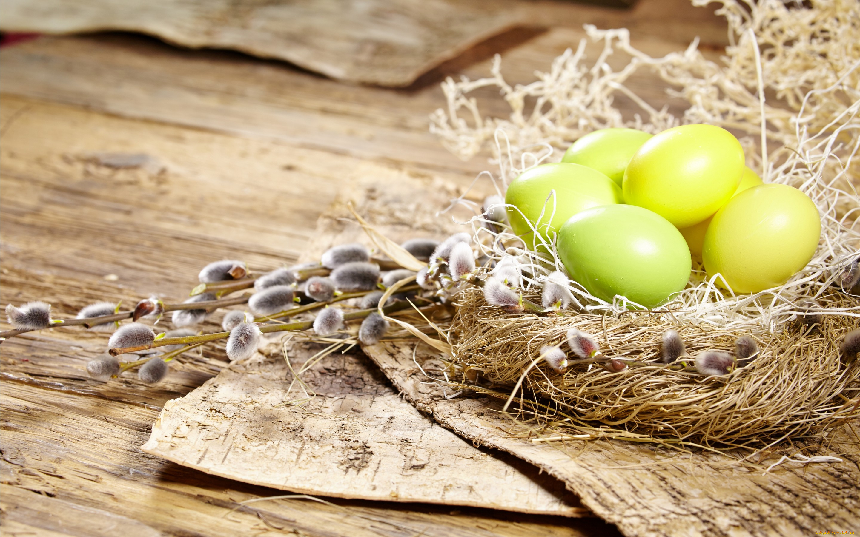 праздничные, пасха, flowers, spring, eggs, easter, верба, гнездо, яйца