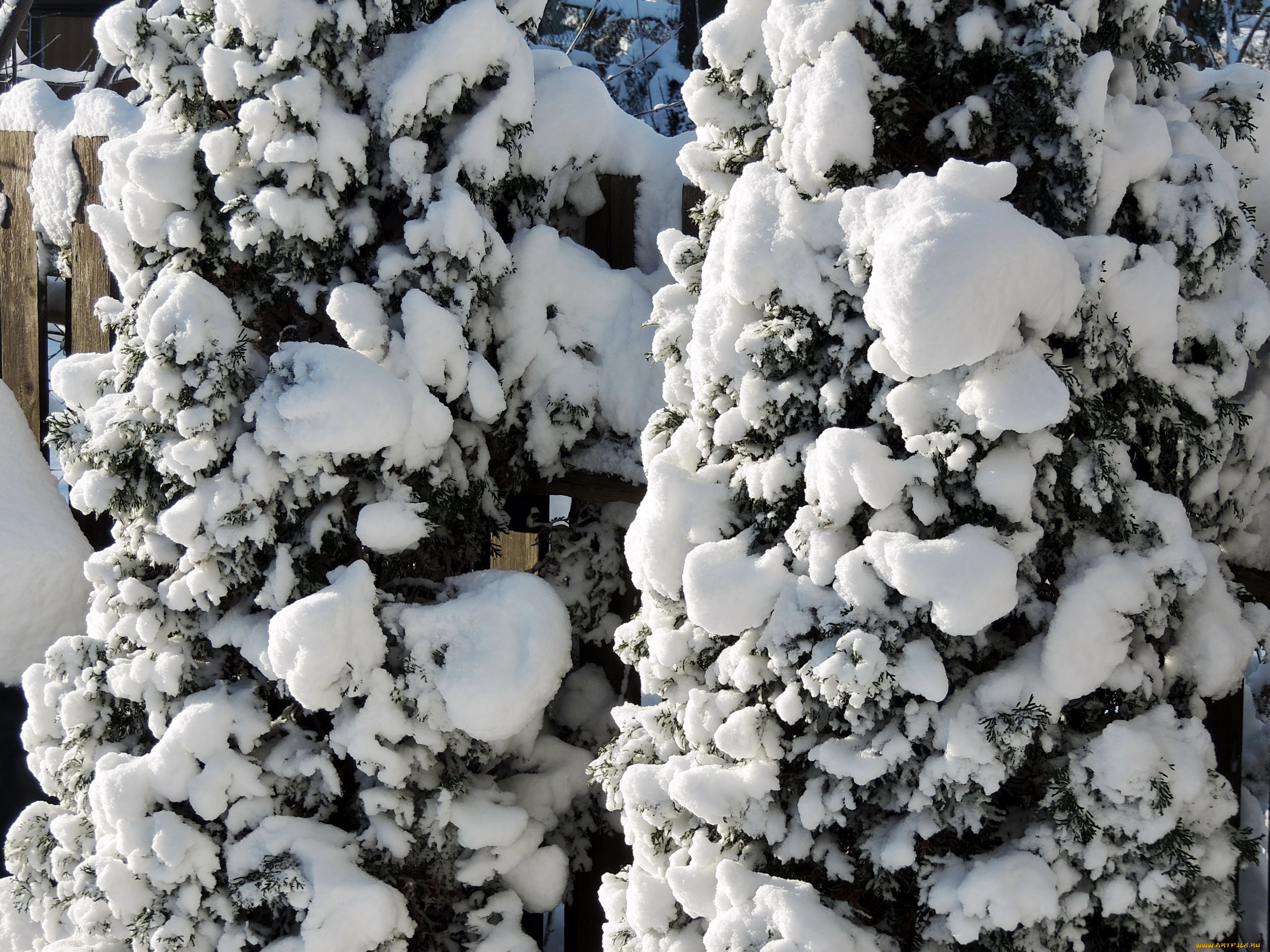природа, зима, забор, снег, деревья