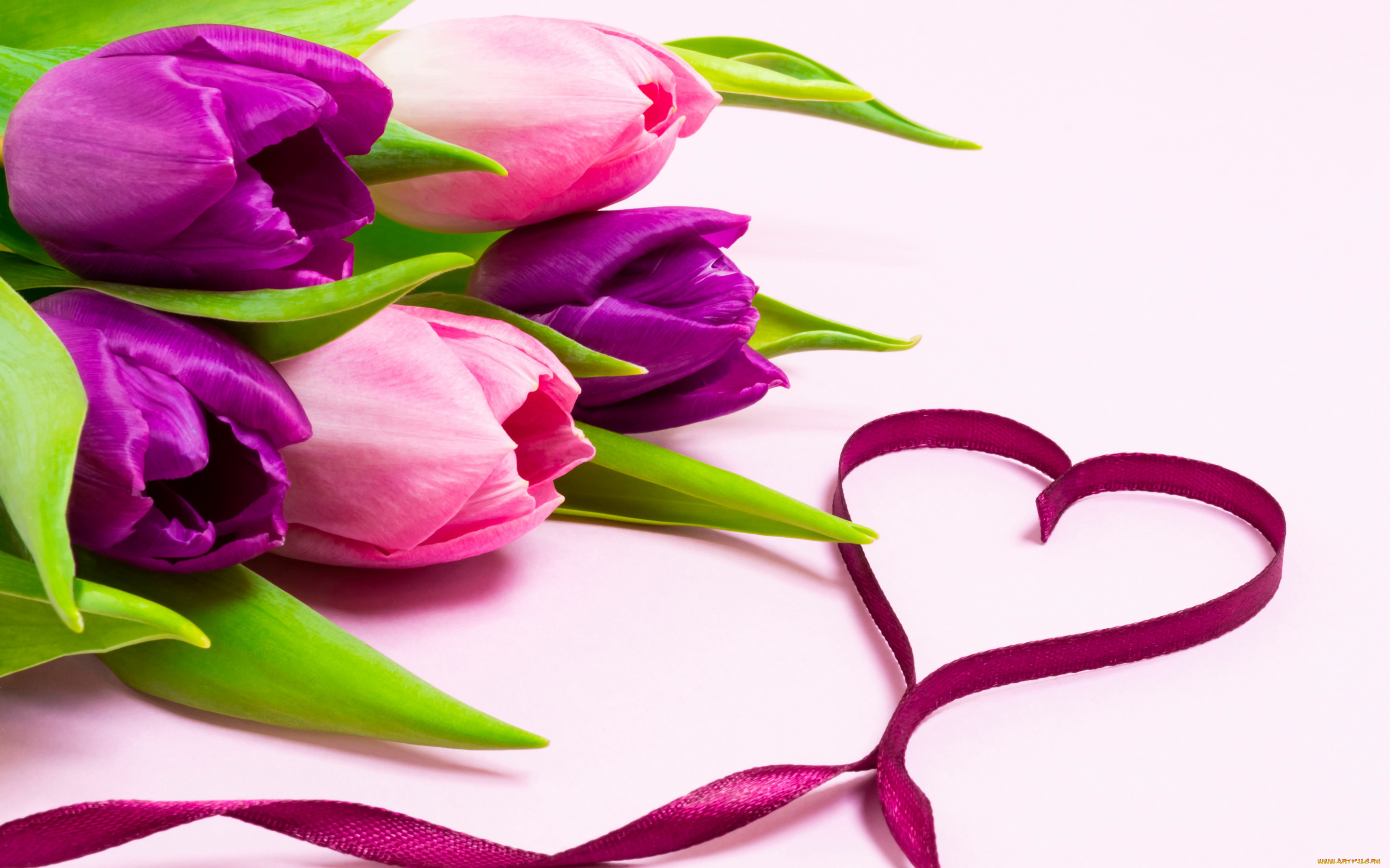 праздничные, день, святого, валентина, , сердечки, , любовь, любовь, цветы, сердце, букет, лента, тюльпаны, love, heart, pink, flowers, romantic, tulips, purple, ribbon