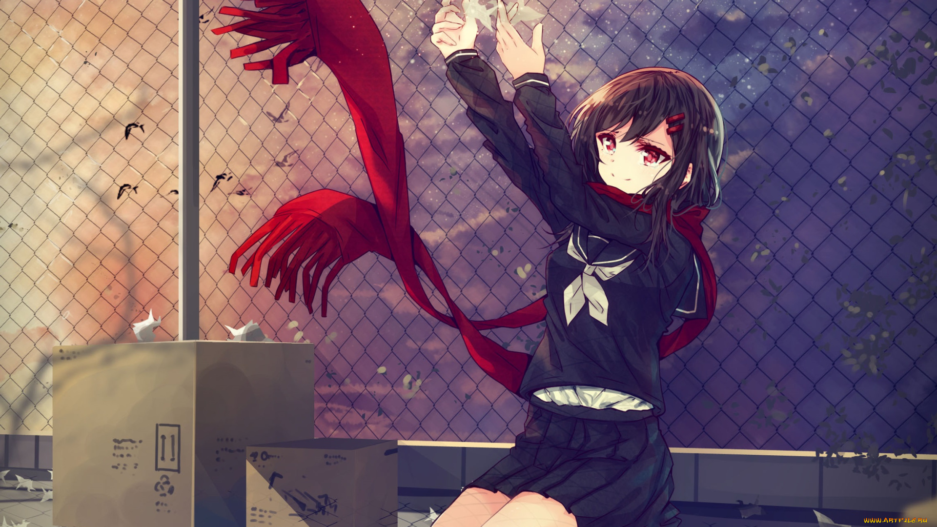 аниме, kagerou, project, девушка, шарф