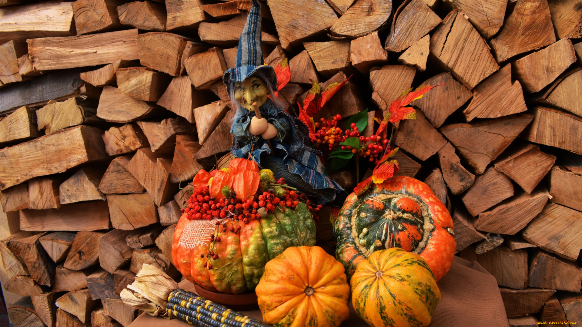 праздничные, хэллоуин, тыква, дрова, ведьма, кукуруза, рябина