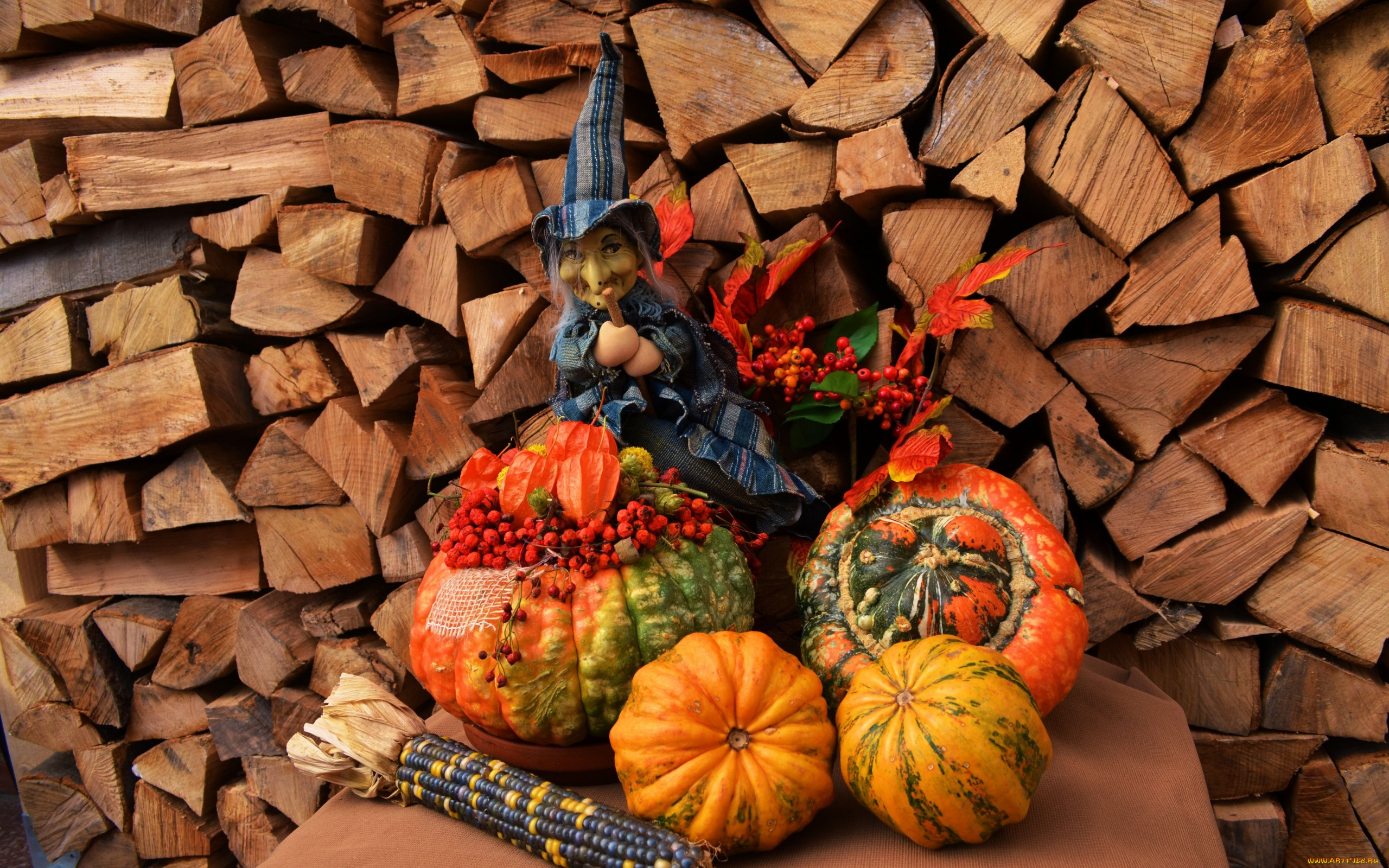 праздничные, хэллоуин, тыква, дрова, ведьма, кукуруза, рябина