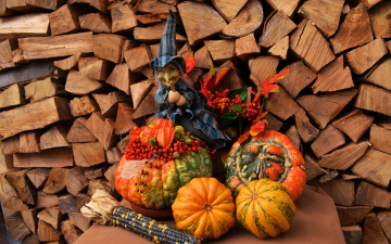 Картинка праздничные хэллоуин тыква дрова ведьма кукуруза рябина