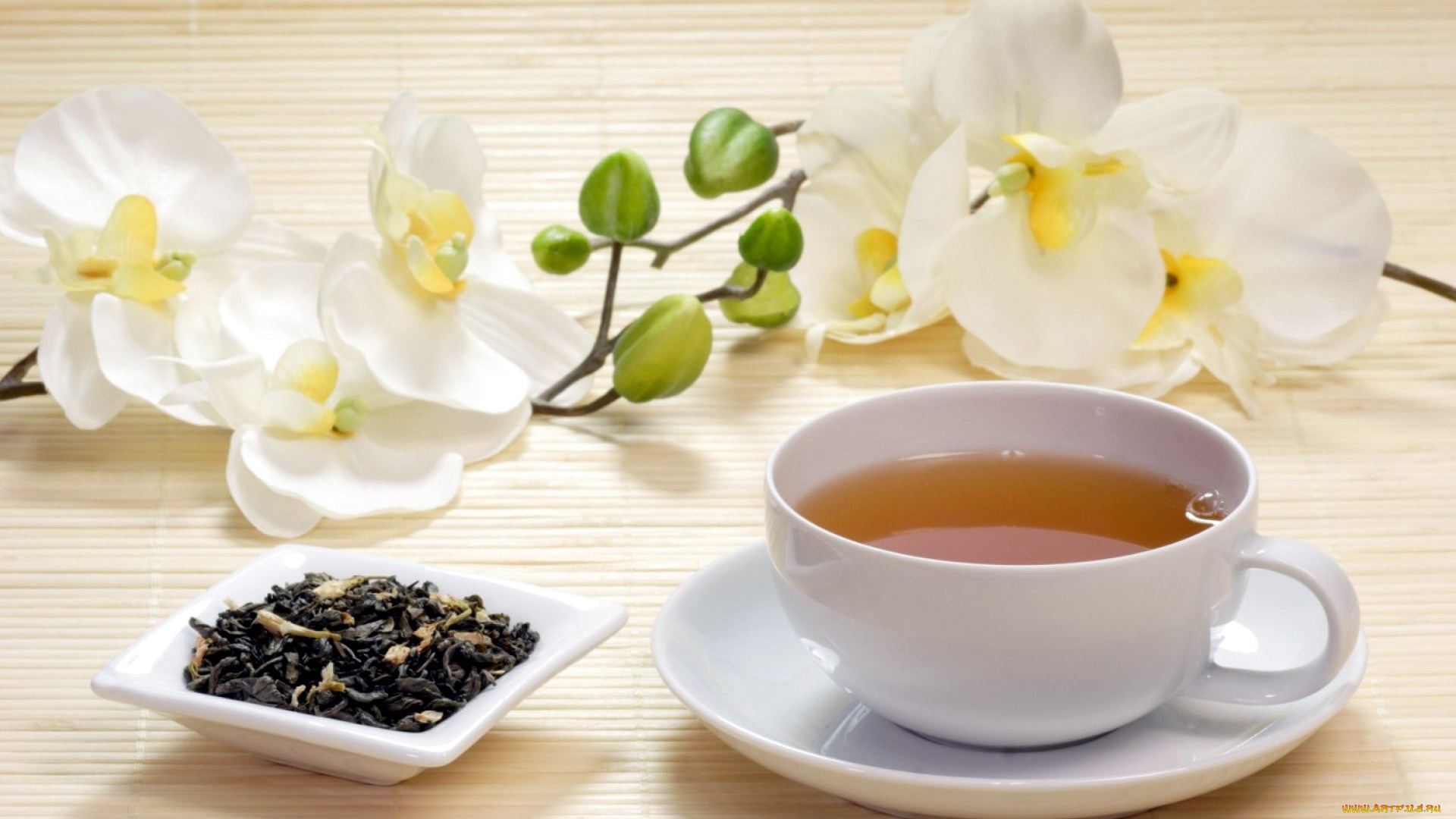 еда, напитки, , Чай, заварка, орхидея, чашка, чай