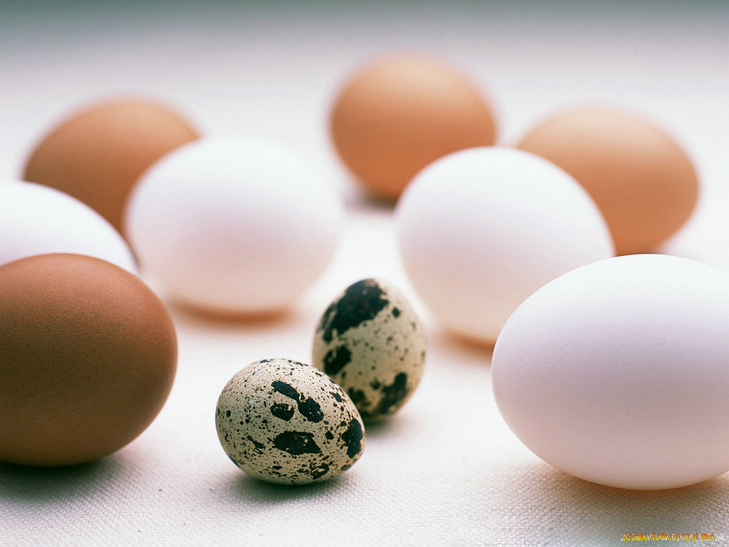 еда, Яйца