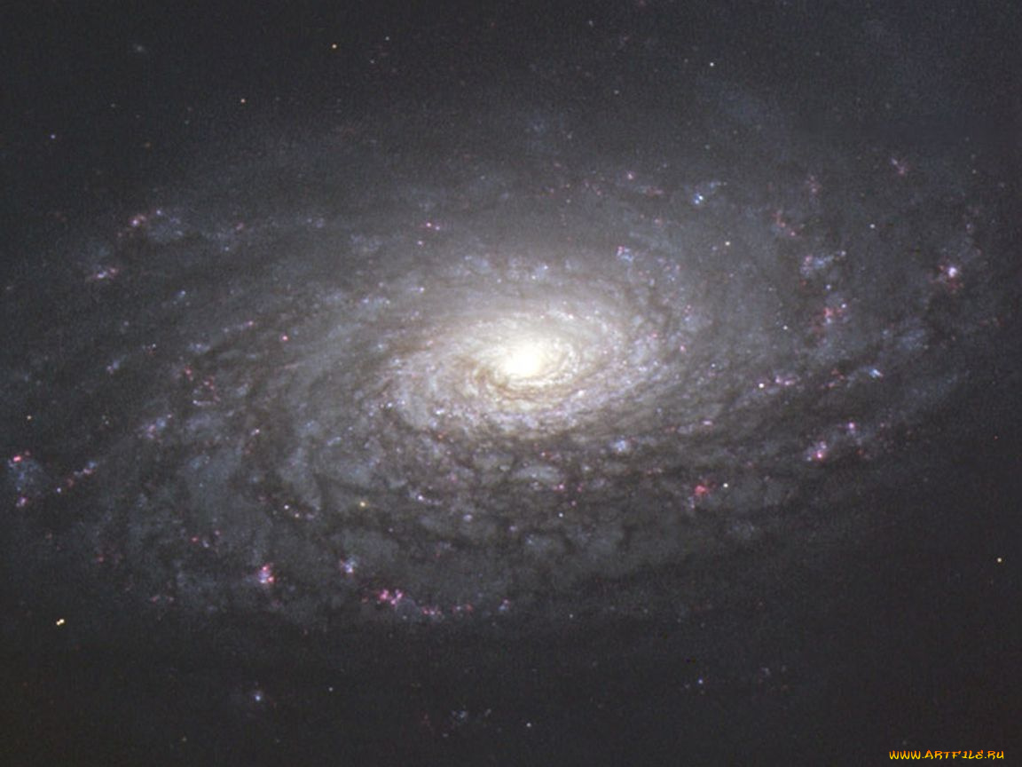 m63, галактика, подсолнух, космос, галактики, туманности