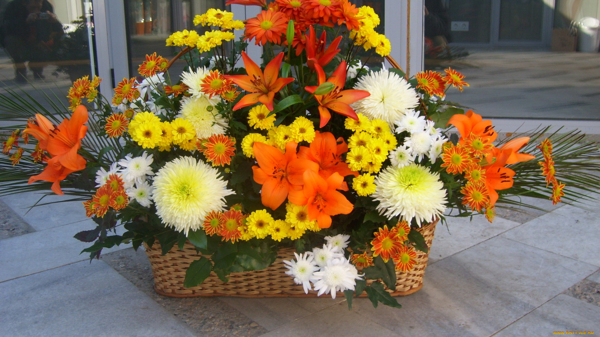 цветы, букеты, композиции, лилии, хризантемы, букет