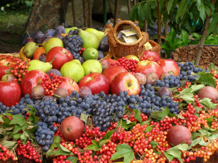 Картинка еда фрукты ягоды калина виноград яблоки груши сливы урожай