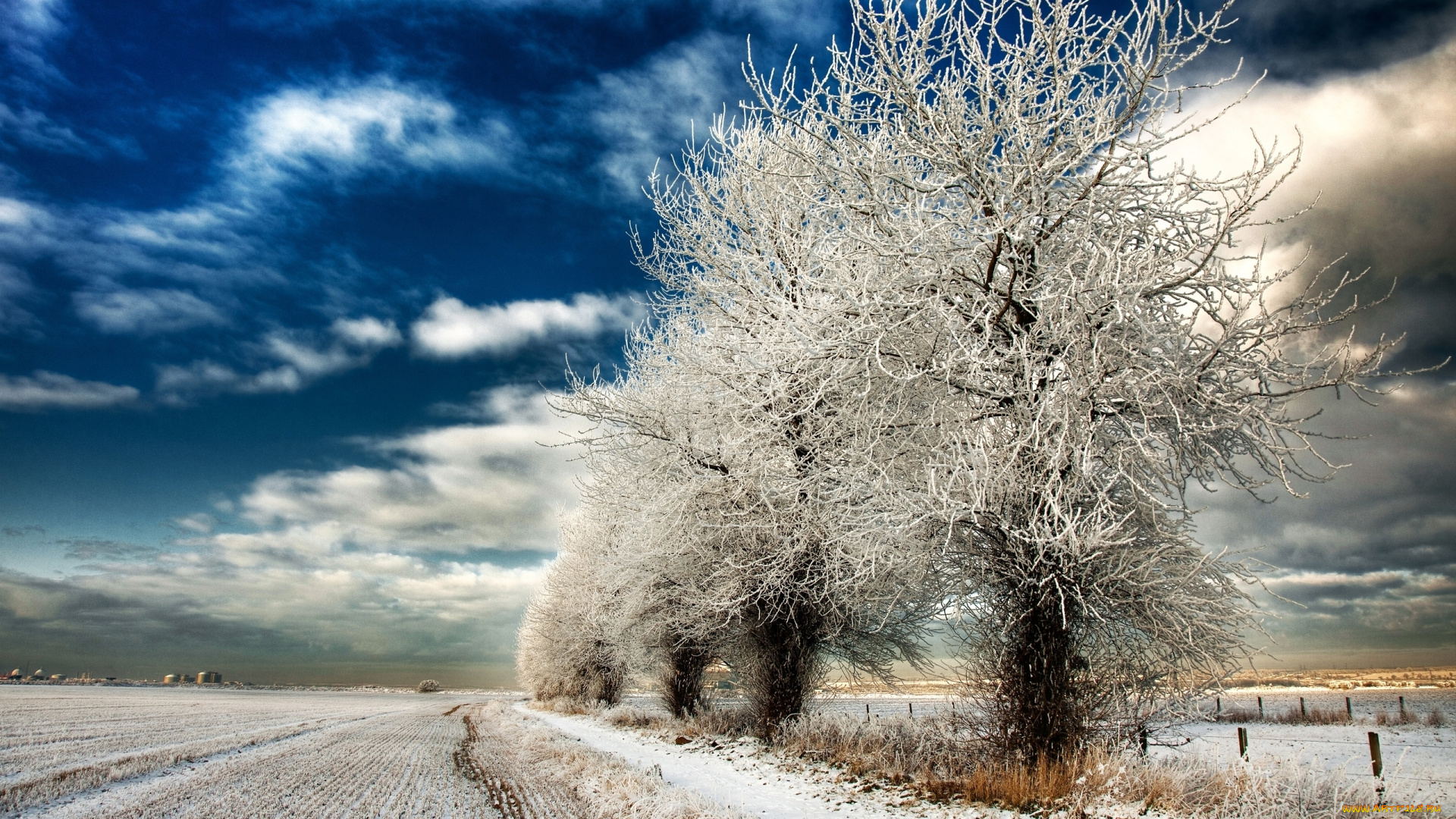 природа, зима, поле