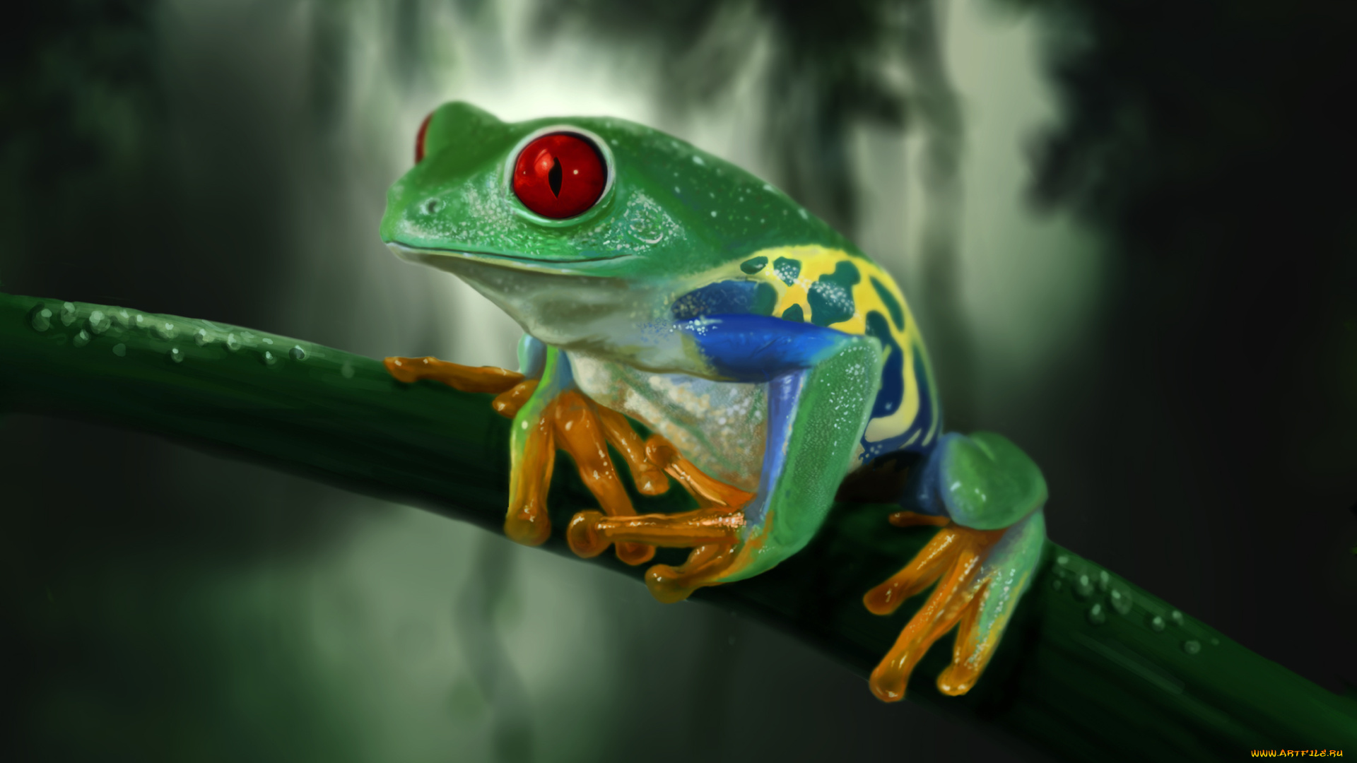 frog, животные, лягушки, древесная, лягушка