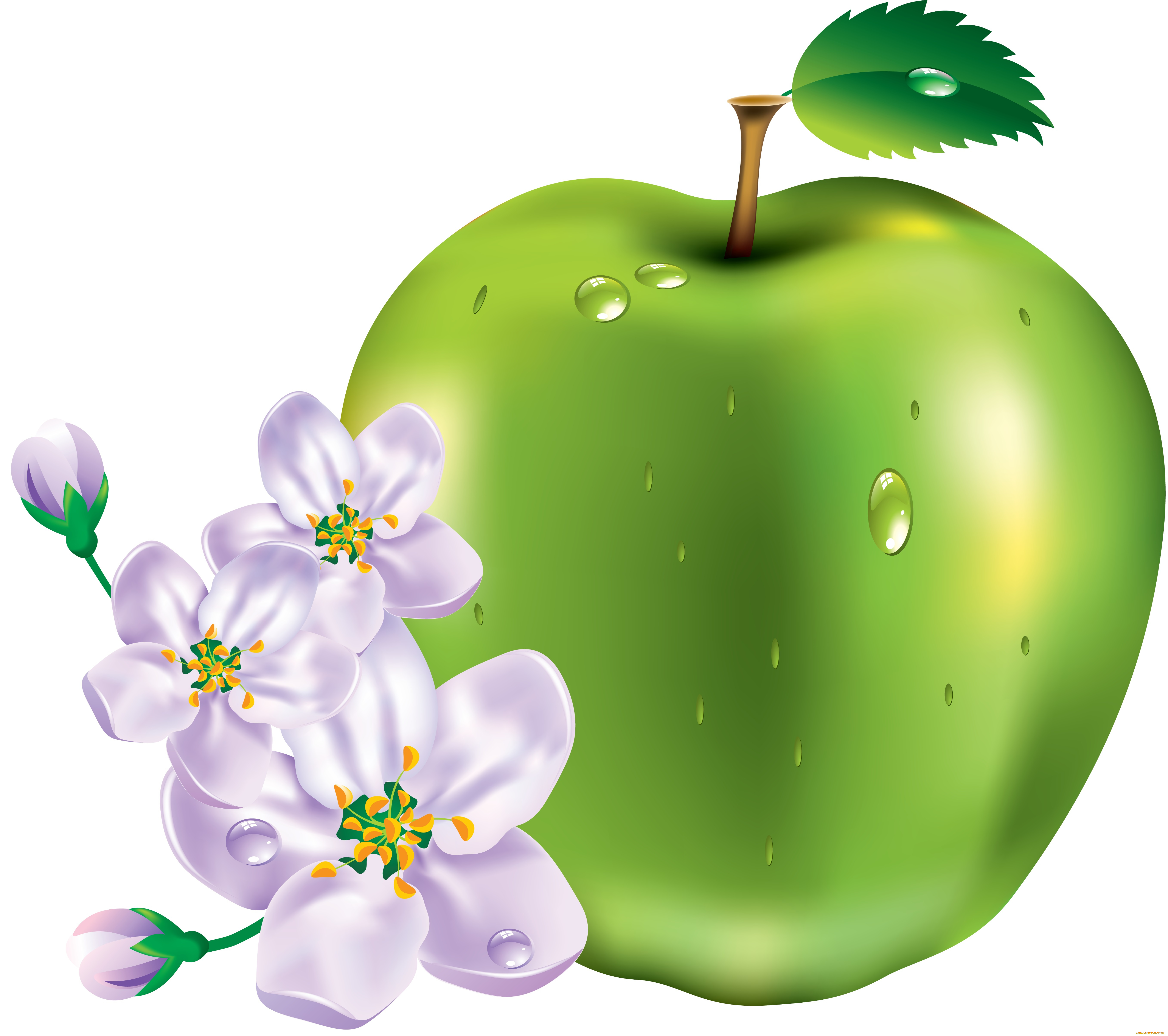 векторная, графика, еда, яблоко, цветы