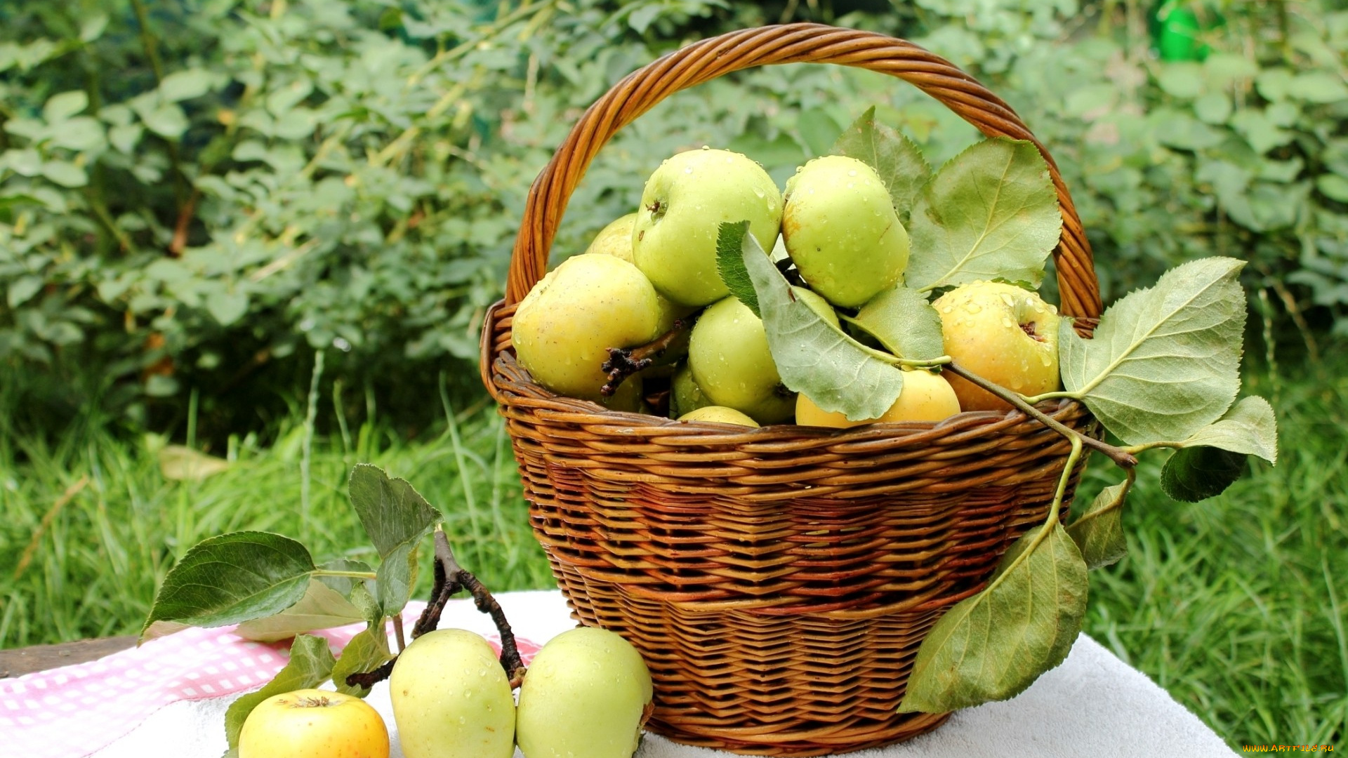 еда, Яблоки, корзина, яблоки, капли, фрукты, урожай
