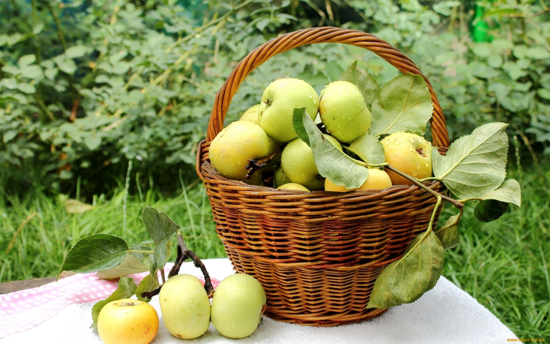 еда, Яблоки, корзина, яблоки, капли, фрукты, урожай