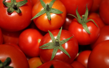Картинка еда помидоры много томаты макро