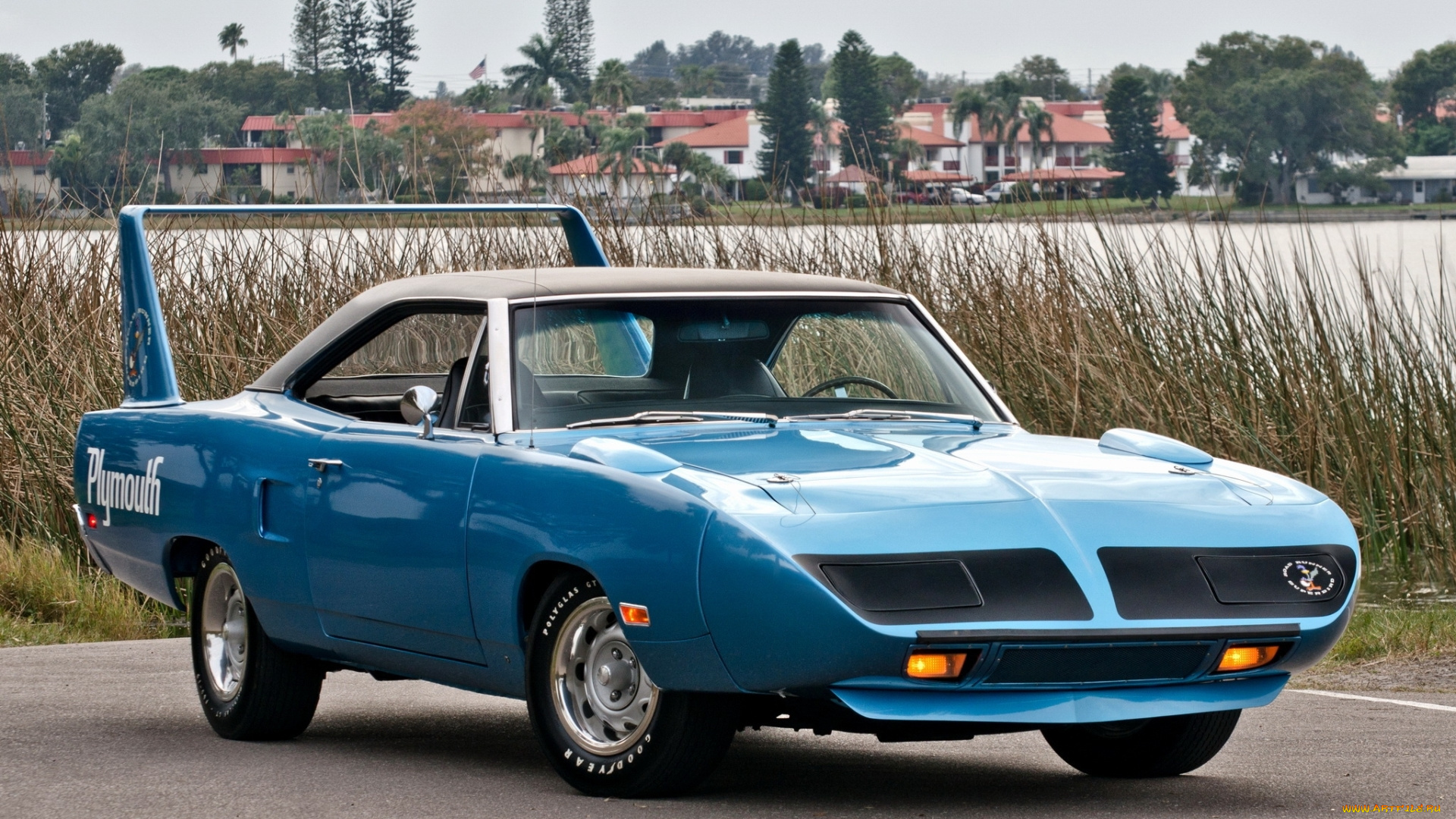 автомобили, plymouth, superbird, 1970, мускул, кар, вид, спереди, экстерьер, ретро