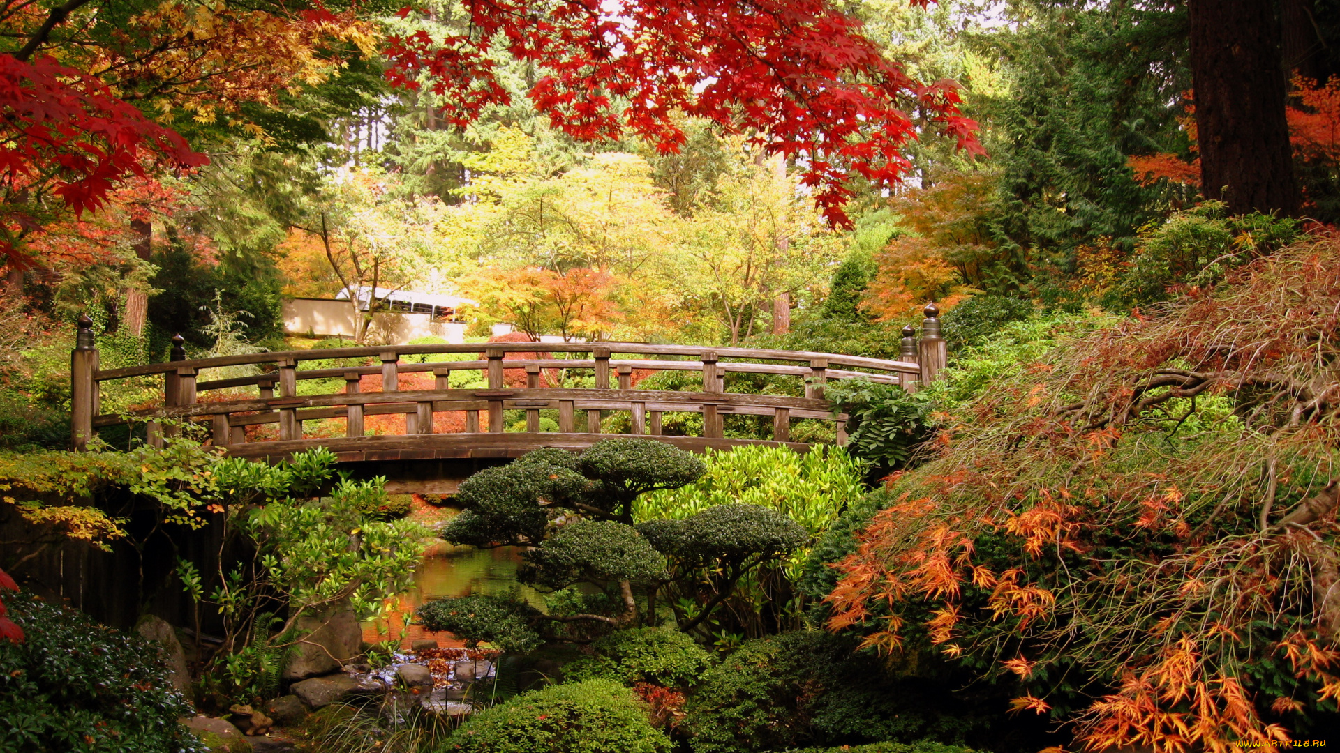 природа, парк, мостик, деревья, пруд, сад, кусты, японский