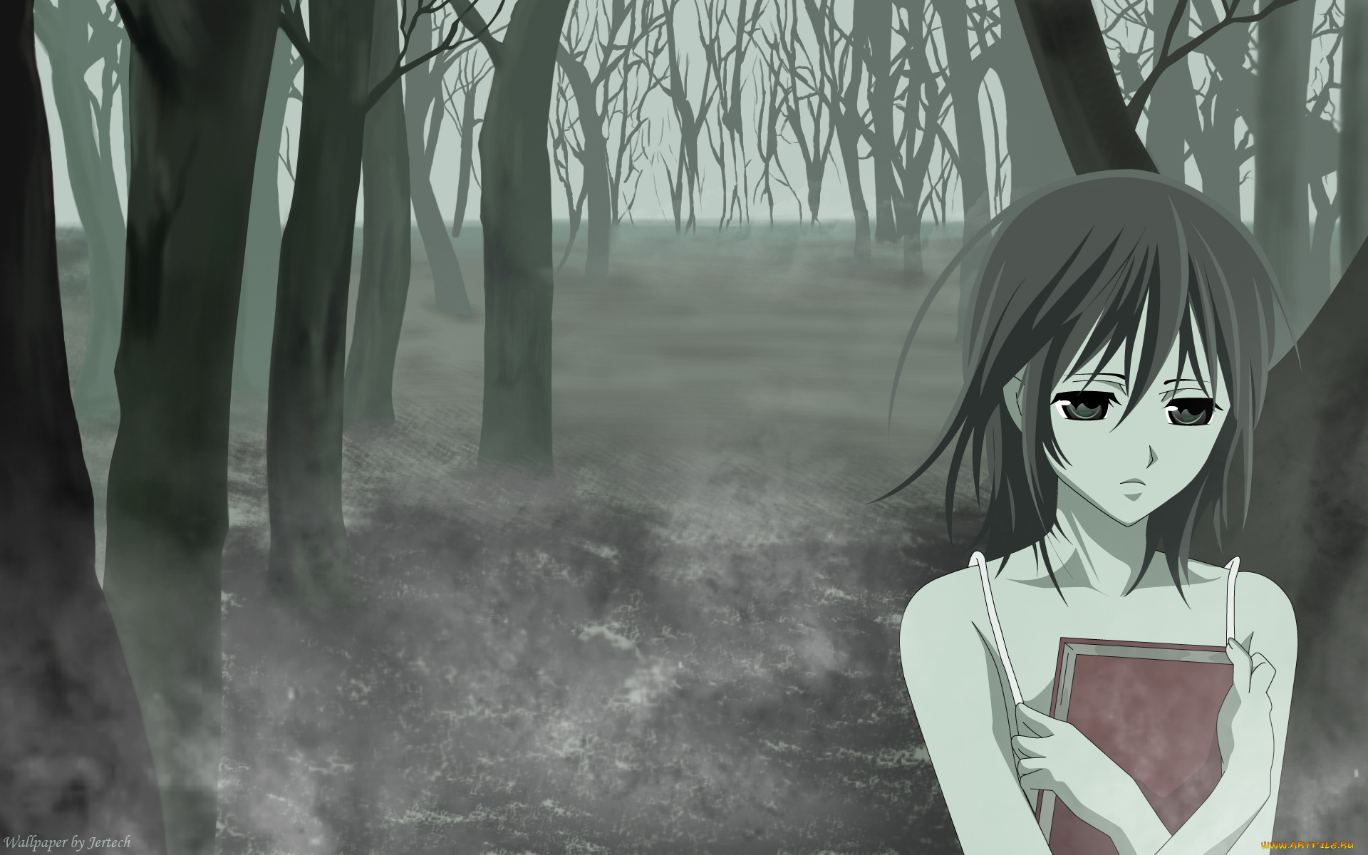 аниме, vampire, knight, yuuki, cross, jertech, лес, деревья, туман, девушка, книга