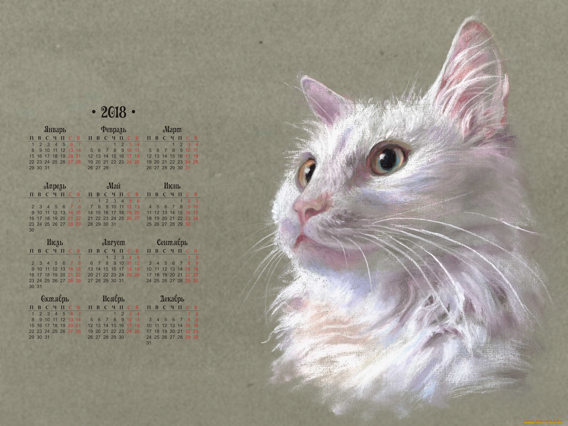 календари, рисованные, , векторная, графика, кошка, морда