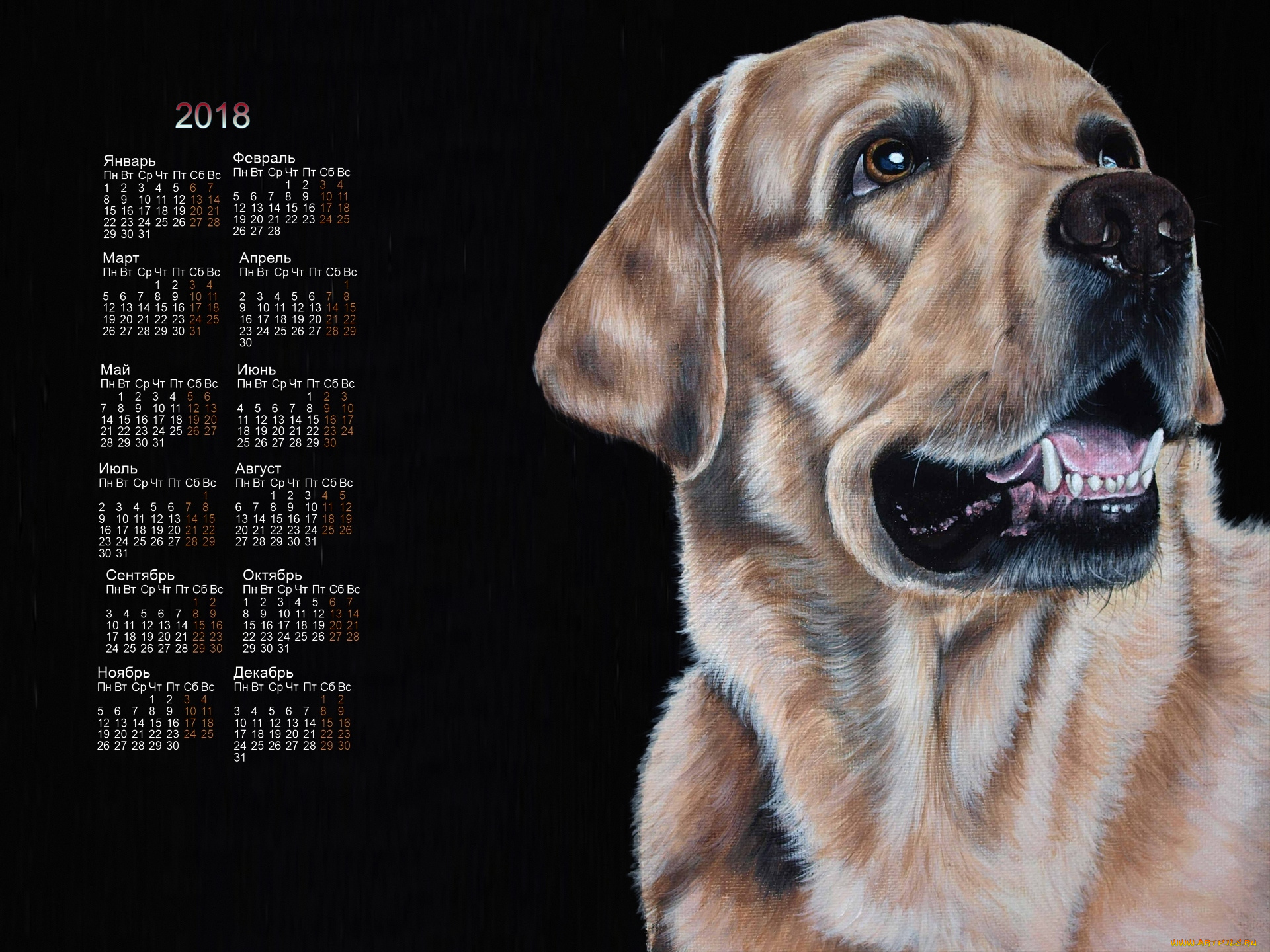 календари, рисованные, , векторная, графика, черный, фон, собака
