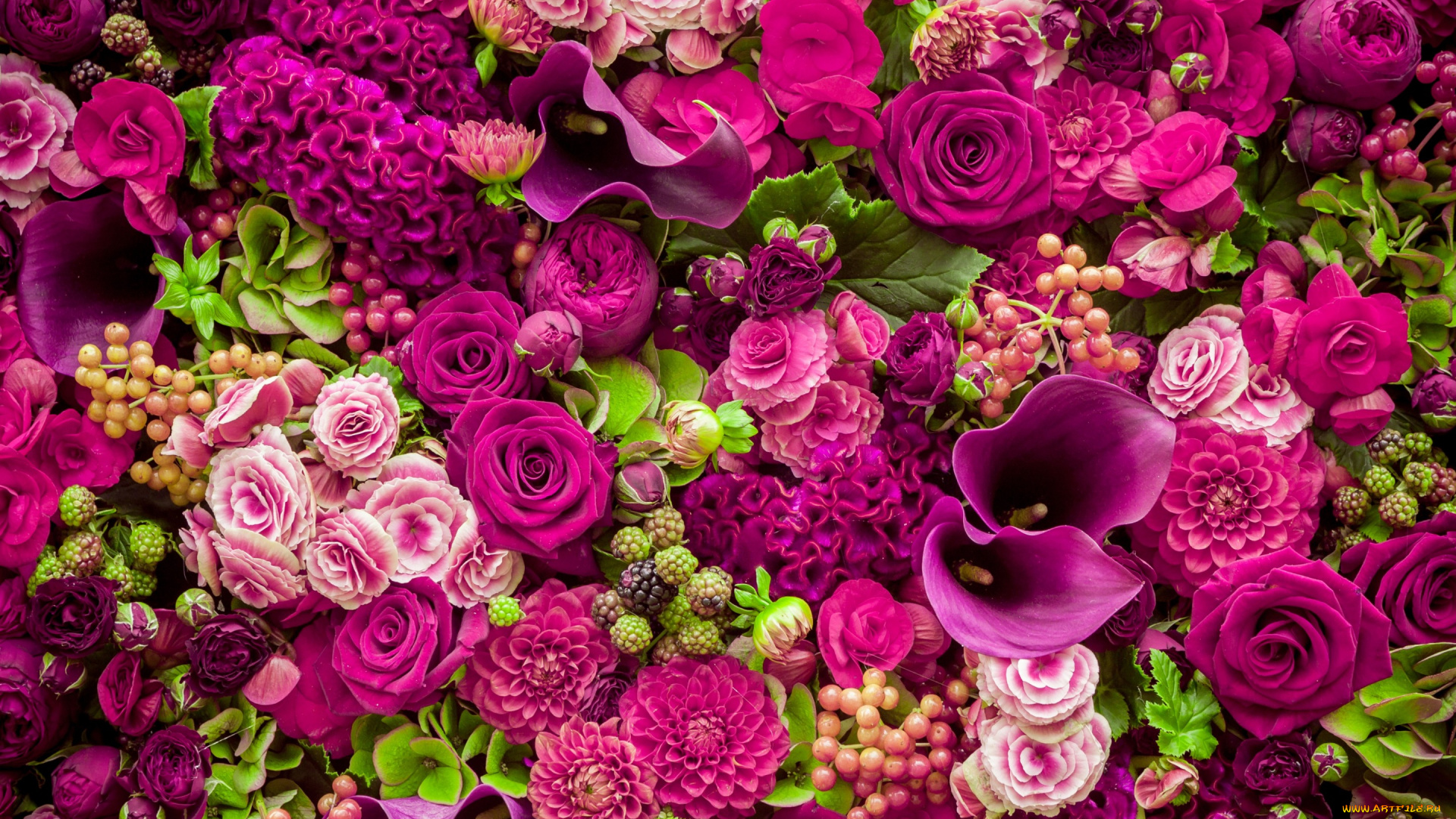 цветы, разные, вместе, roses, purple, romantic, pink, бутоны, розовые, розы, flowers, beautiful