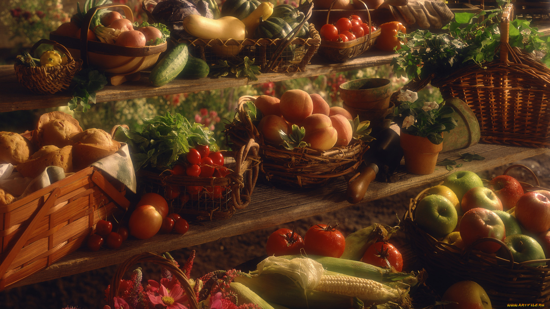 еда, натюрморт, фрукты, овощи, томаты, помидоры