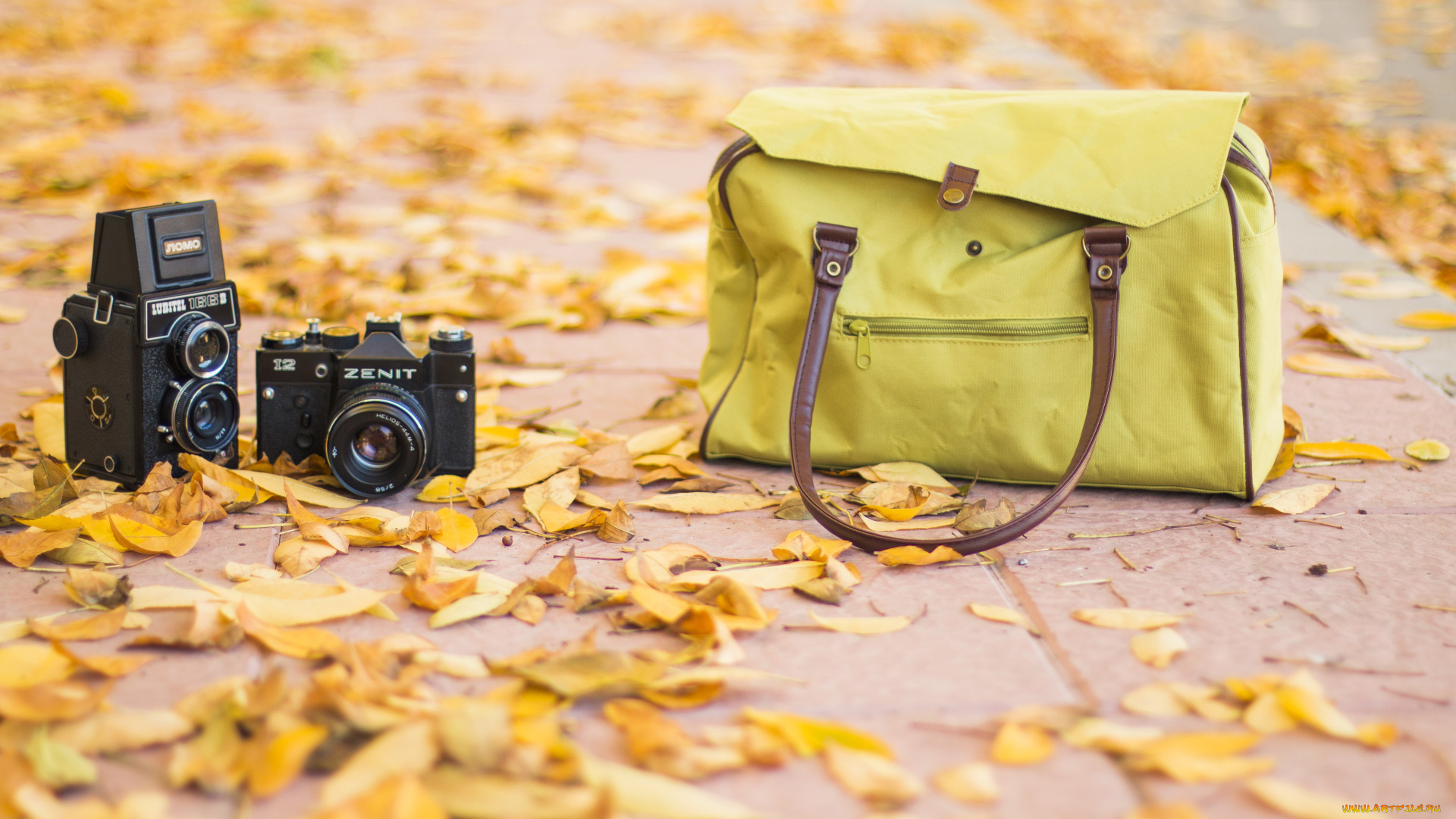 бренды, зенит, осень, камера, фотоаппарат, листья, сумка