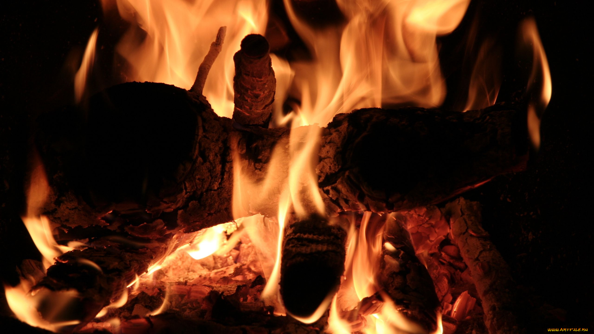 природа, огонь, дрова, пламя, костер