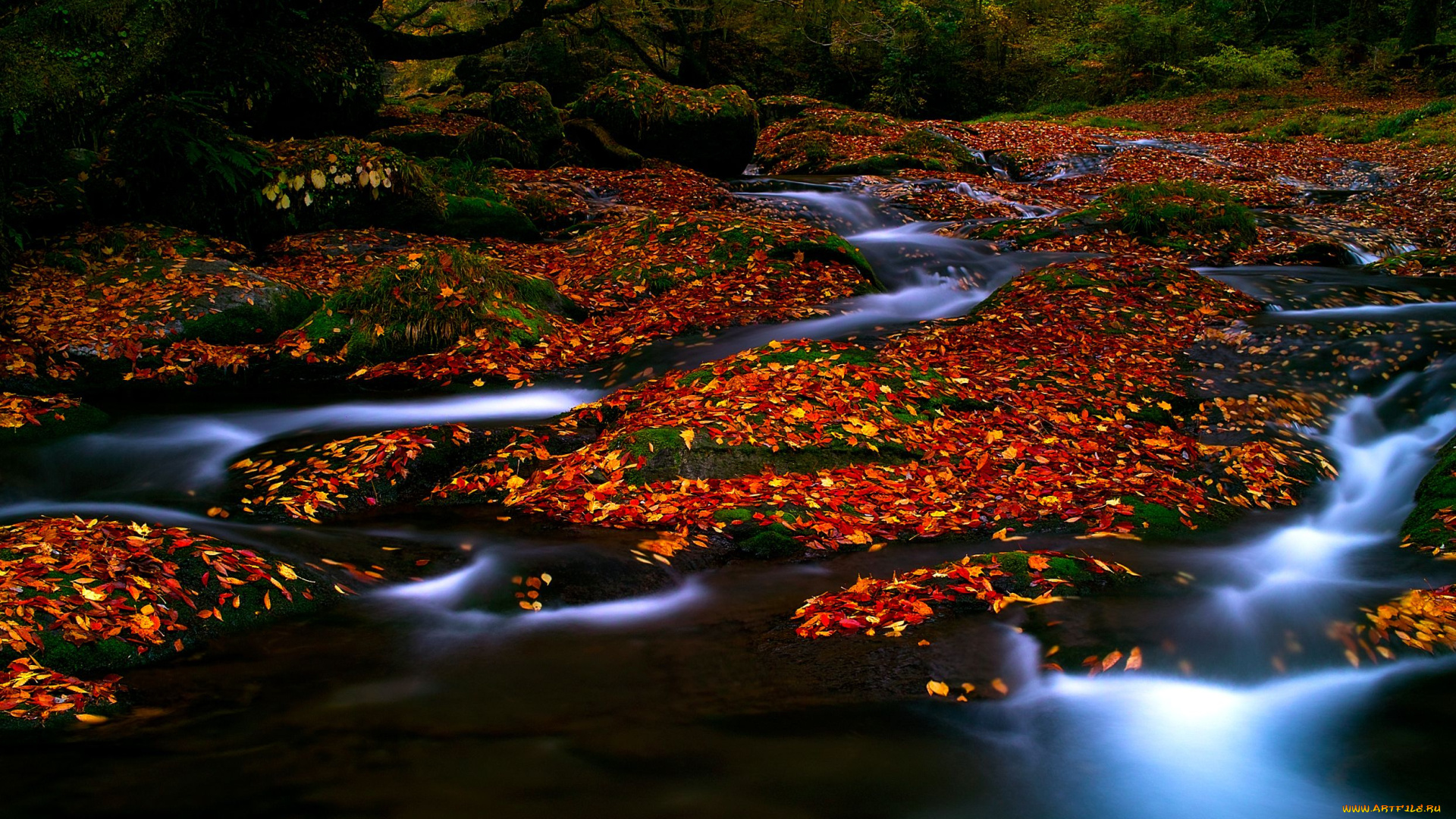 природа, реки, озера, лес, листья, река, осень, деревья