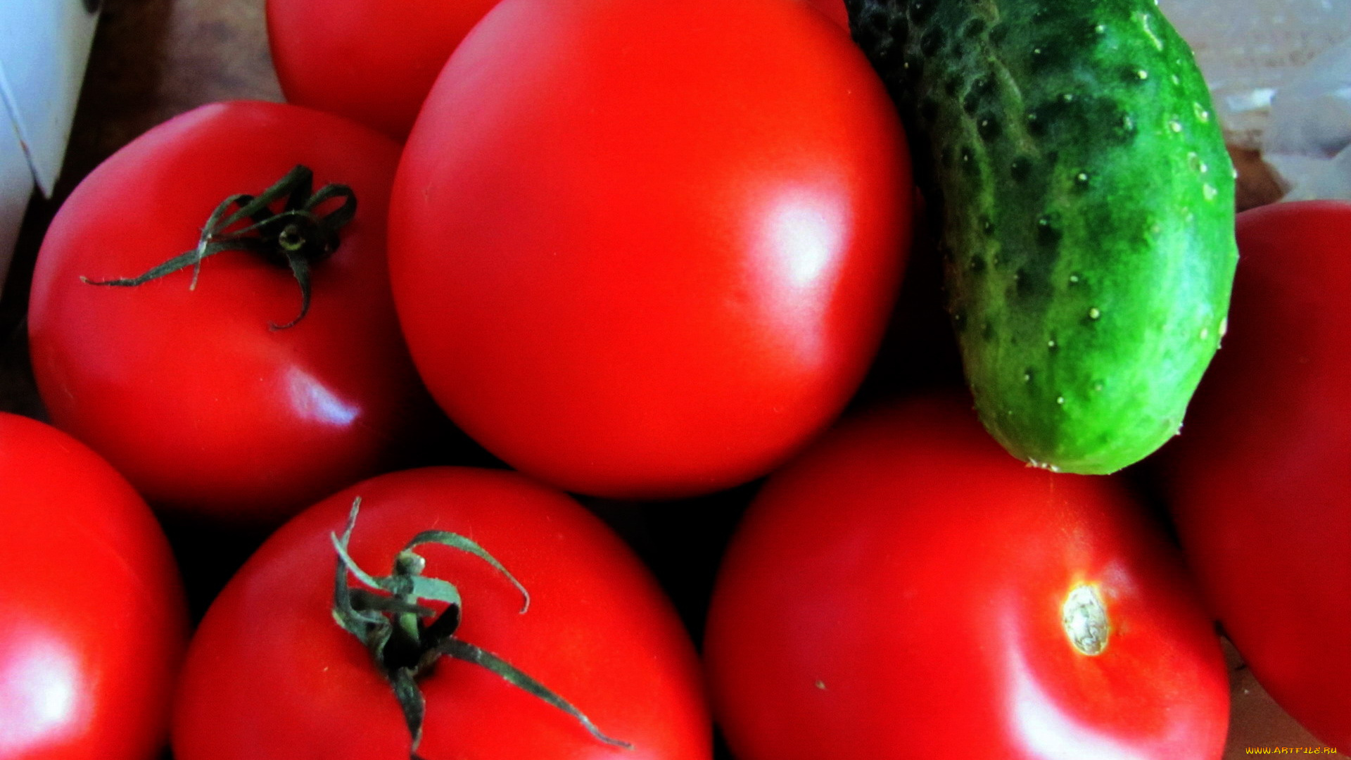 еда, овощи, помидоры, огурец, томаты