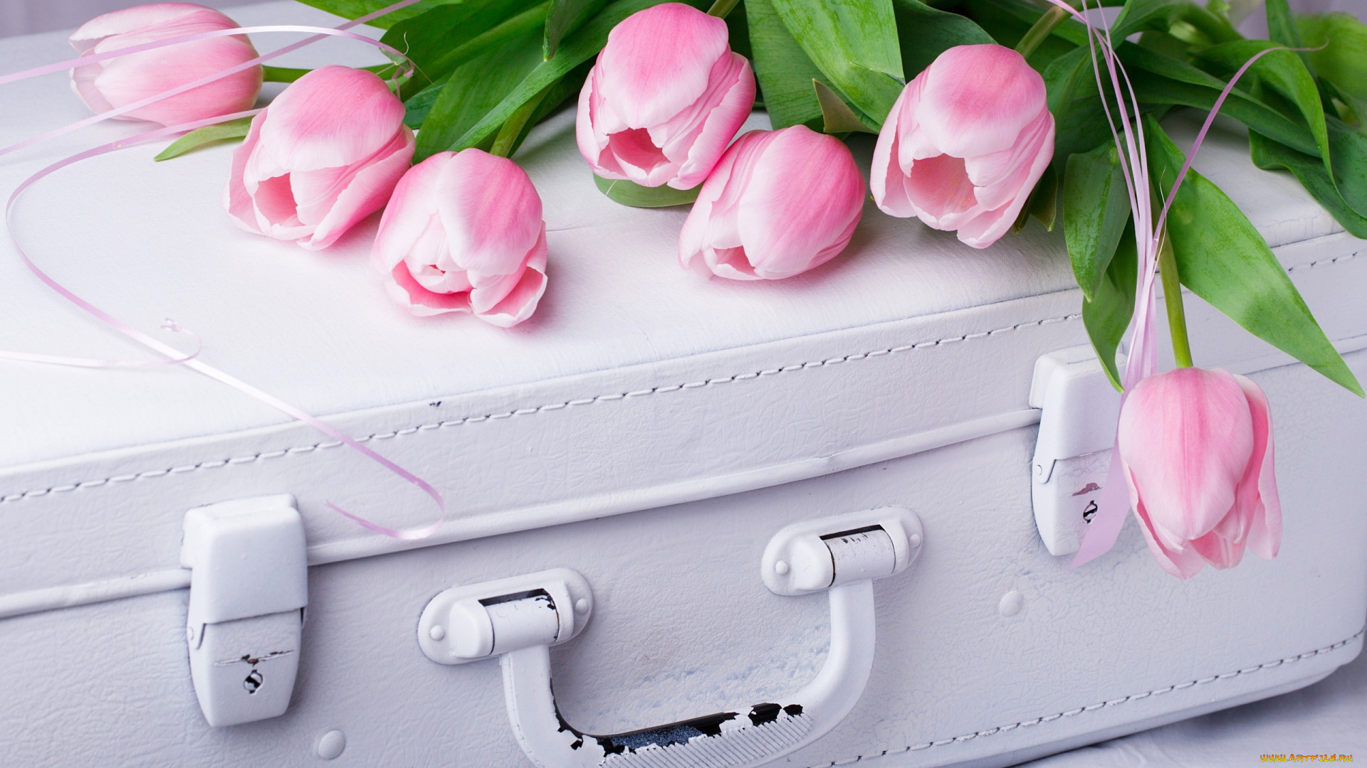 цветы, тюльпаны, розовые, бутоны, чемодан