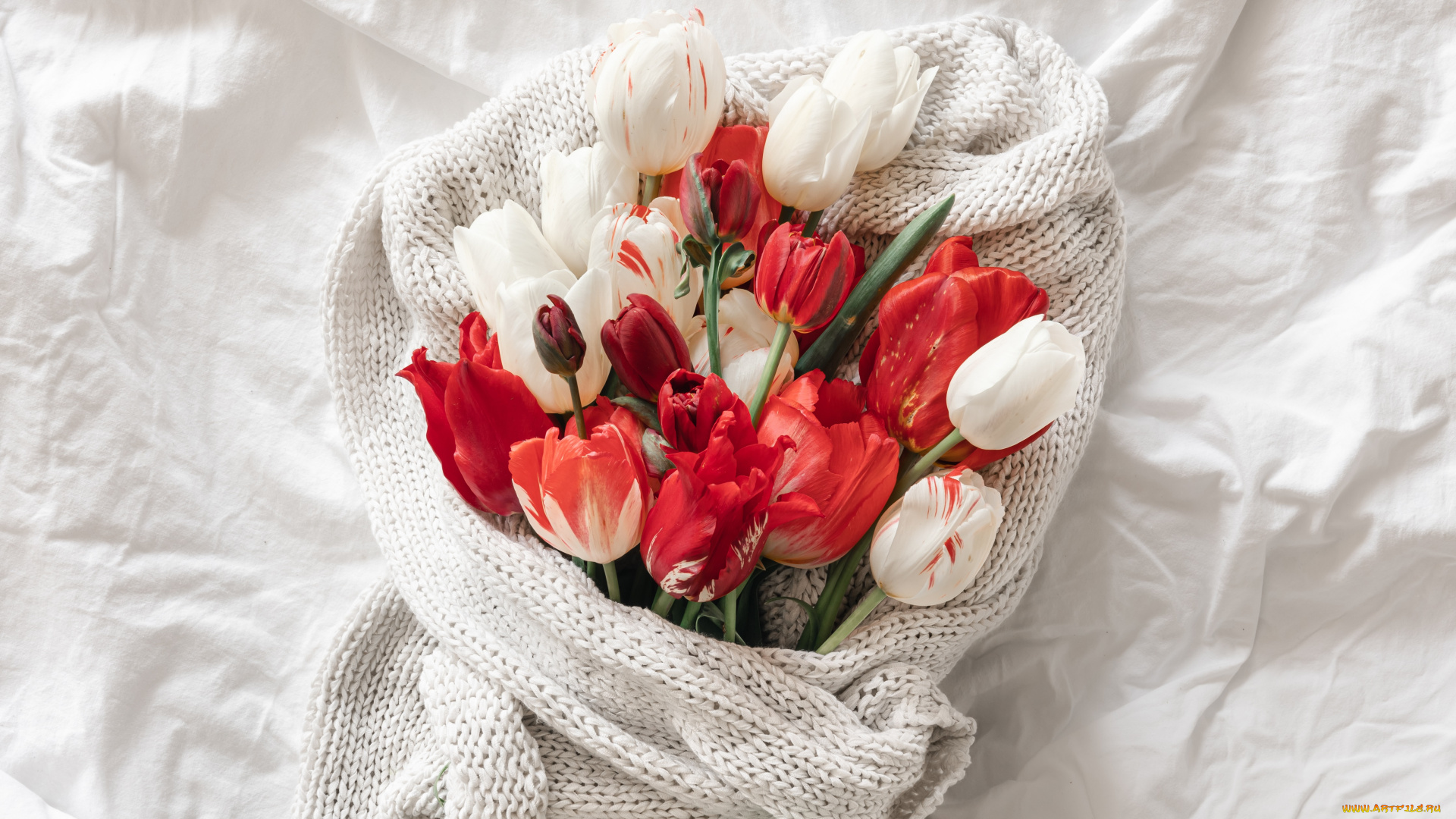 цветы, тюльпаны, ткань