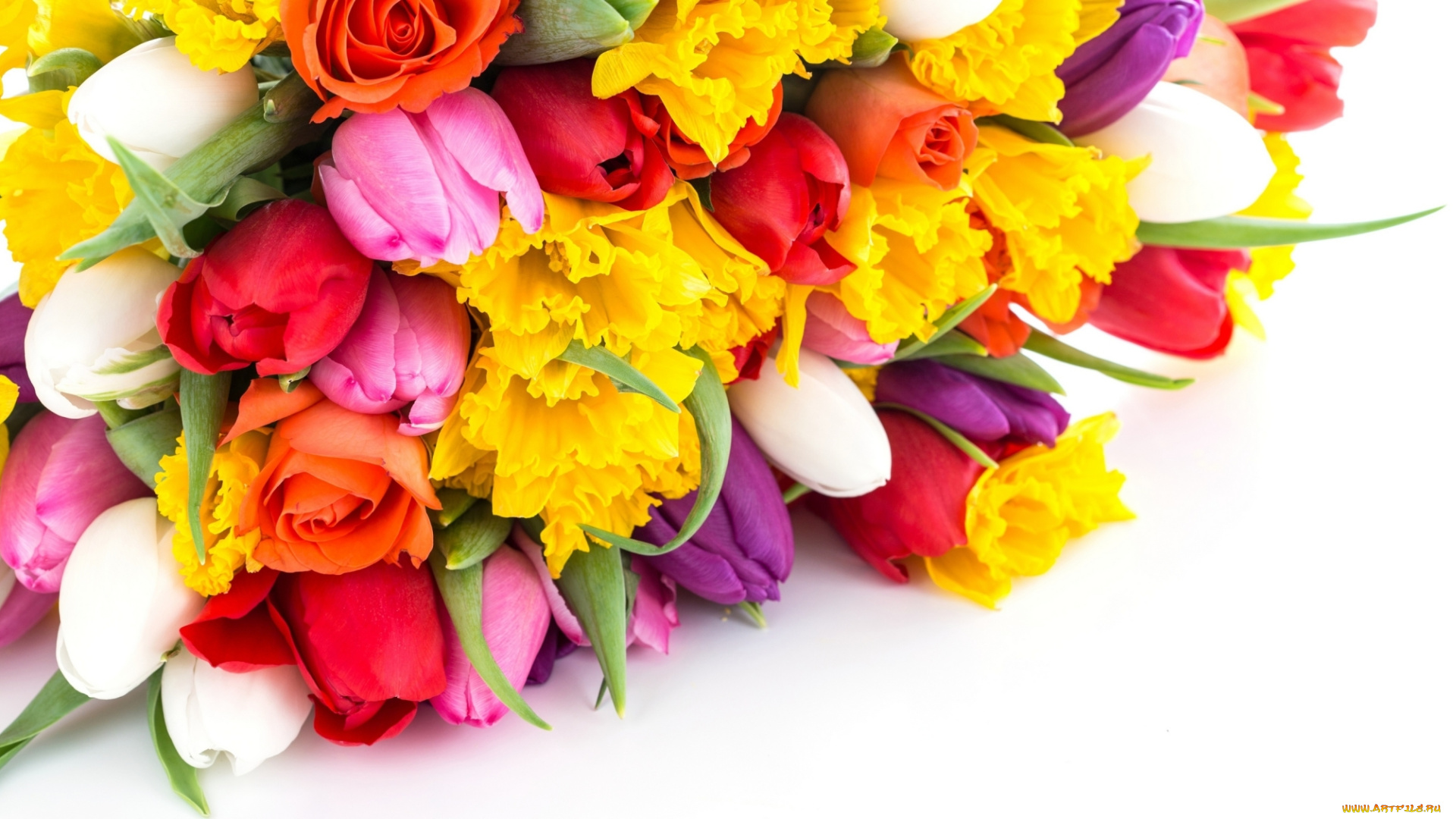 цветы, разные, вместе, букет, тюльпаны