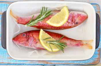 Картинка еда рыба +морепродукты +суши +роллы розмарин лимон