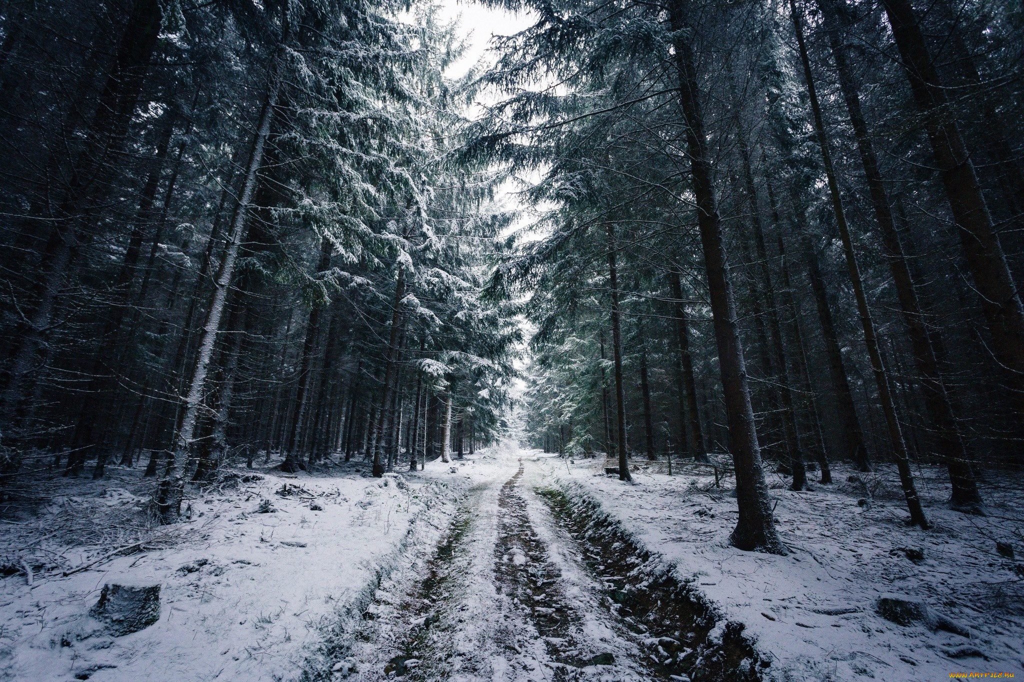 природа, дороги, зима, дорога, следы, деревья, снег, лес, ветки