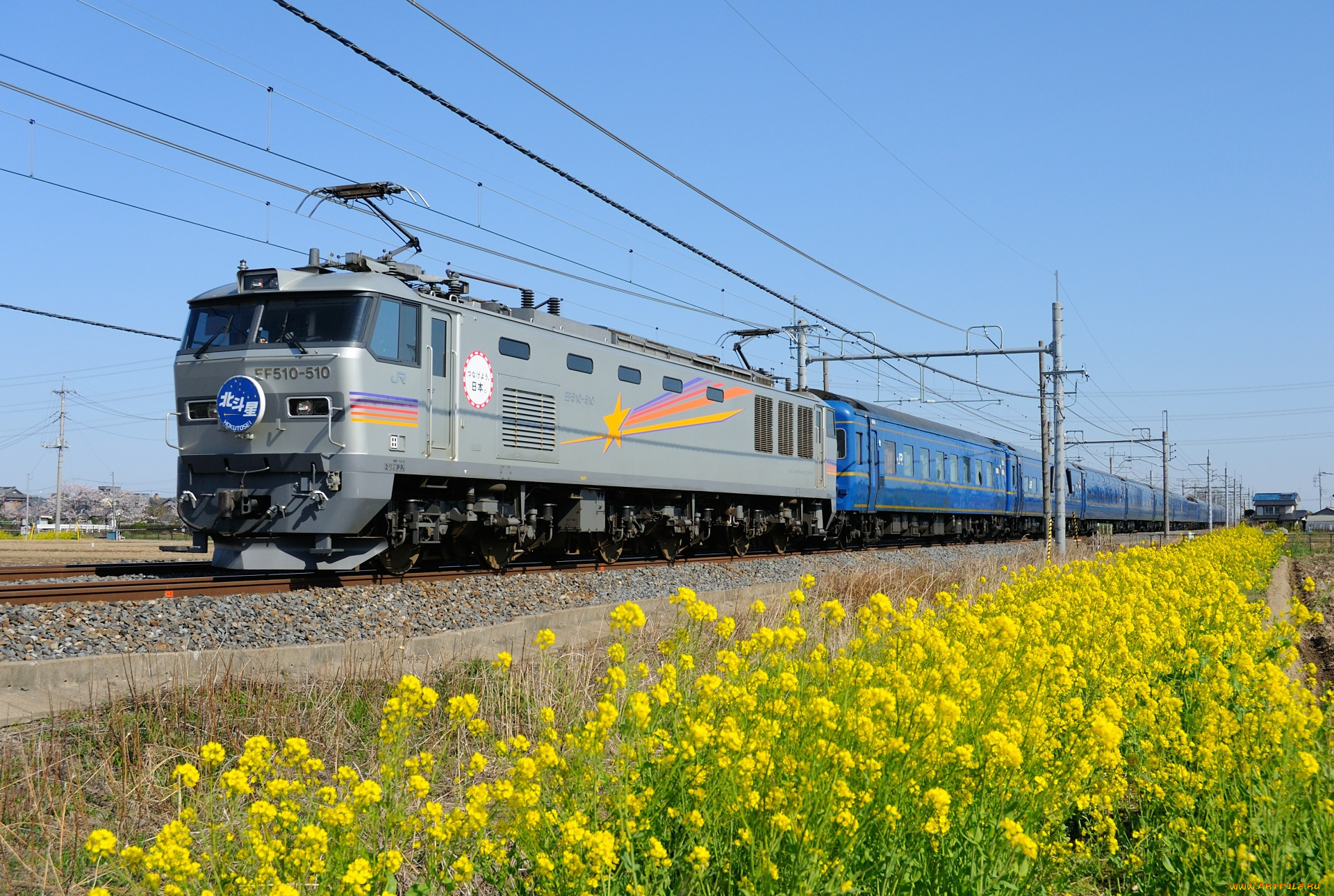 техника, поезда, цветы, поезд