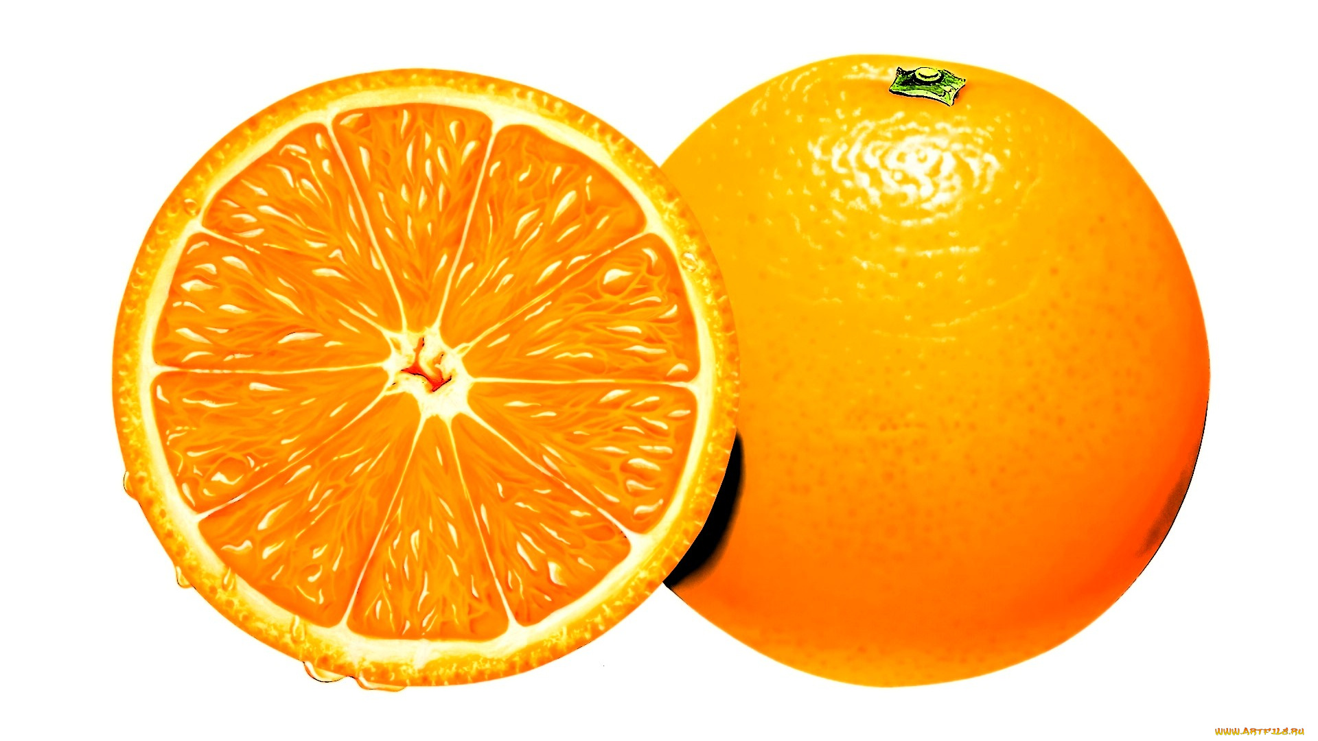 рисованное, еда, апельсин, цитрус