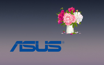 обоя компьютеры, asus, логотип, фон, цветы