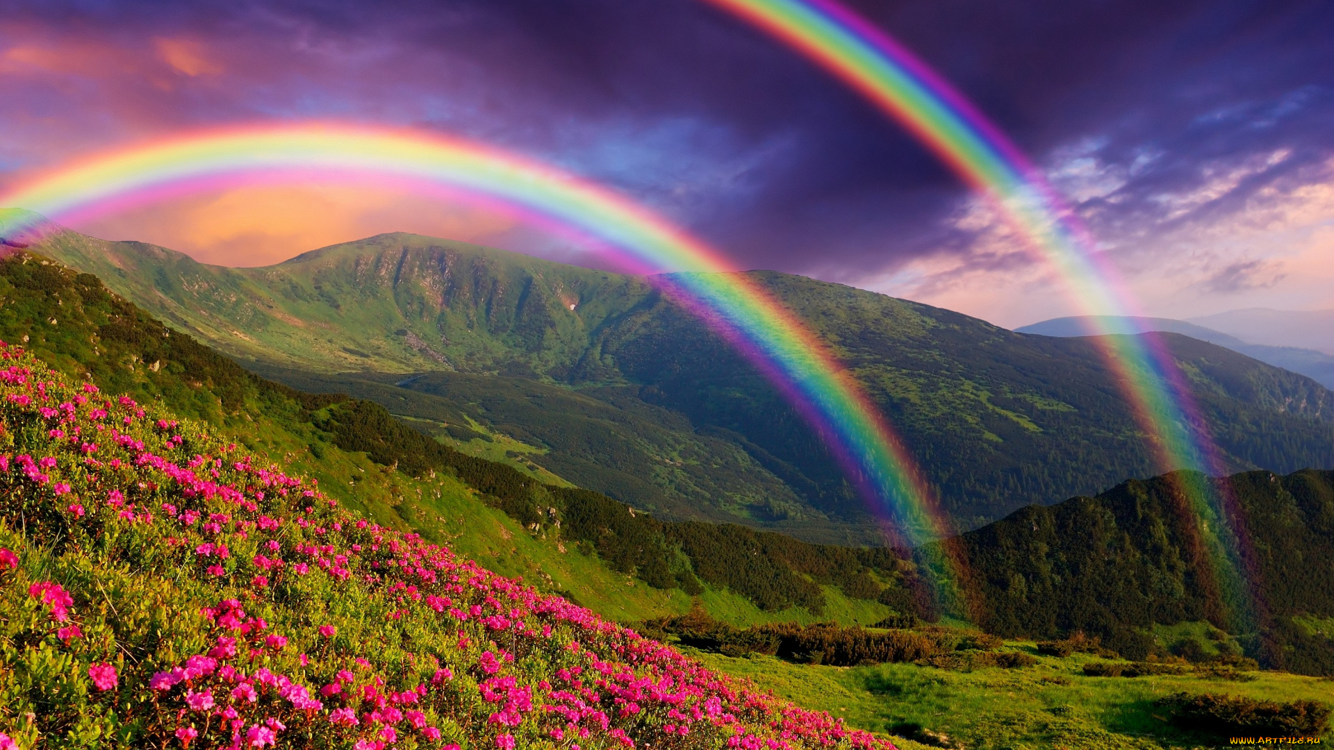 природа, пейзажи, пейзаж, горы, цветы, радуга, nature, landscape, mountains, flowers, rainbows