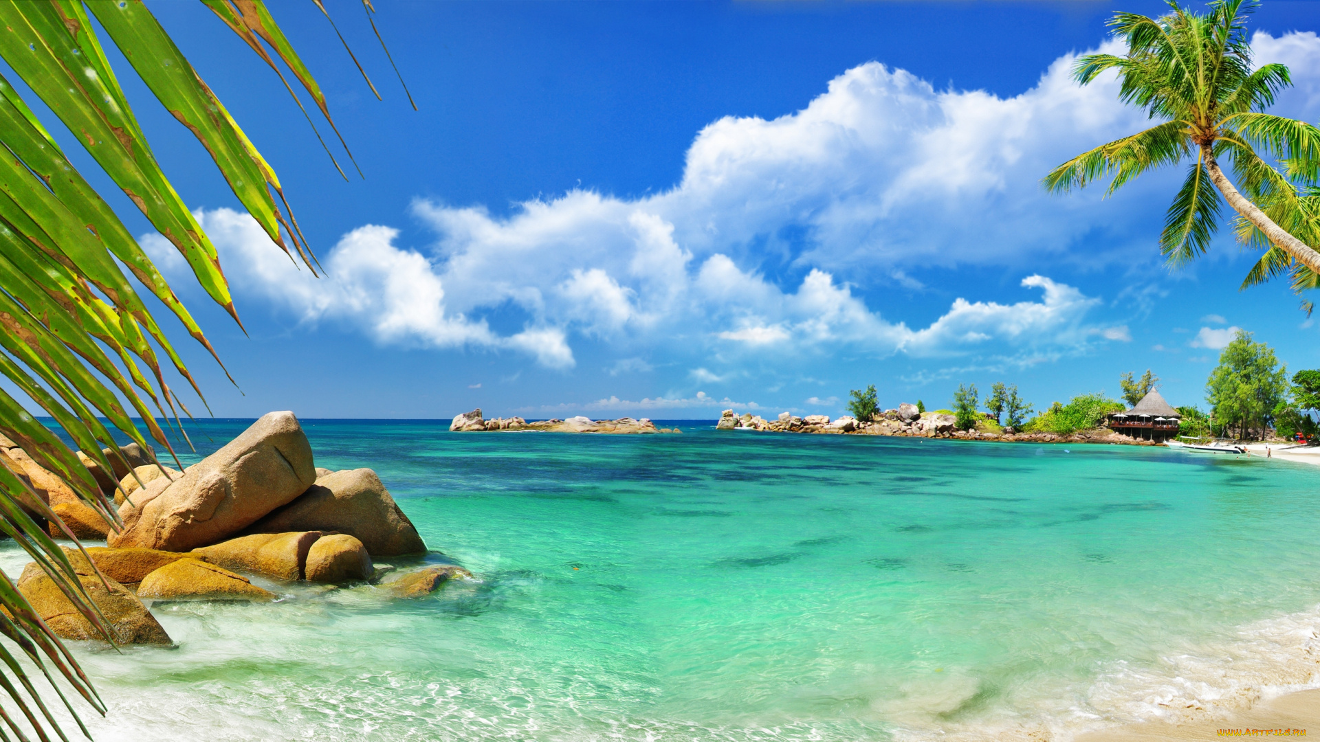seychelles, природа, тропики, пляж, побережье, индийский, океан, сейшельские, острова, indian, ocean, камни, пальмы