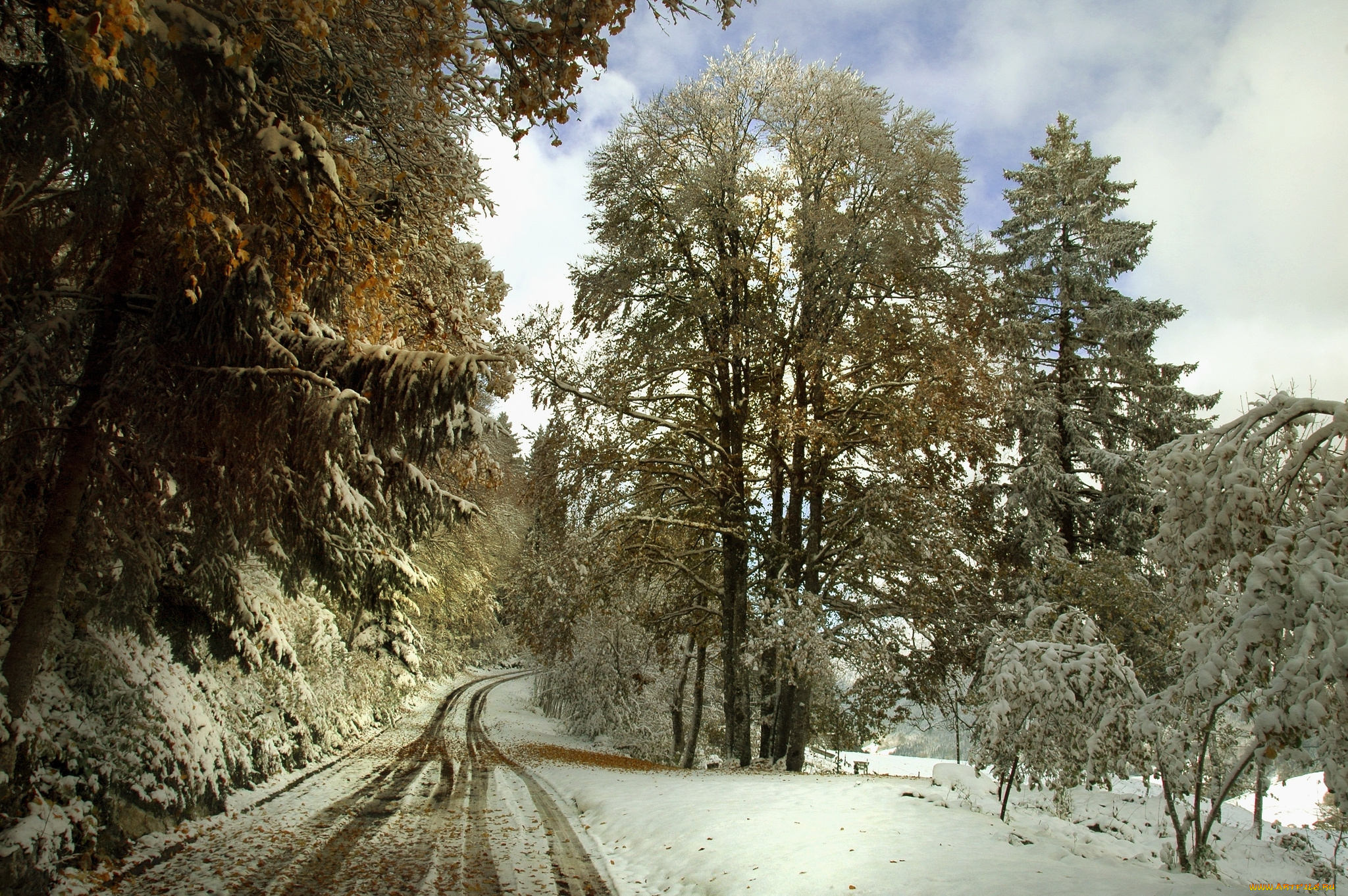 природа, дороги, зима, снег, деревья
