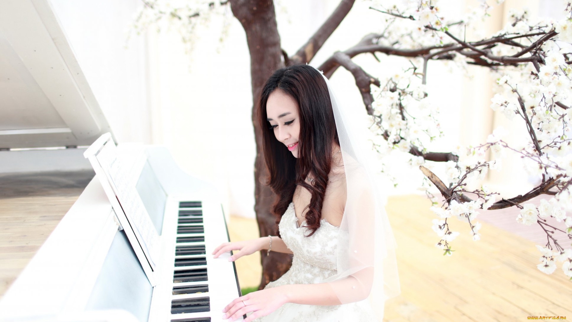 музыка, -другое, дерево, невеста, азиатка, пианино, девушка